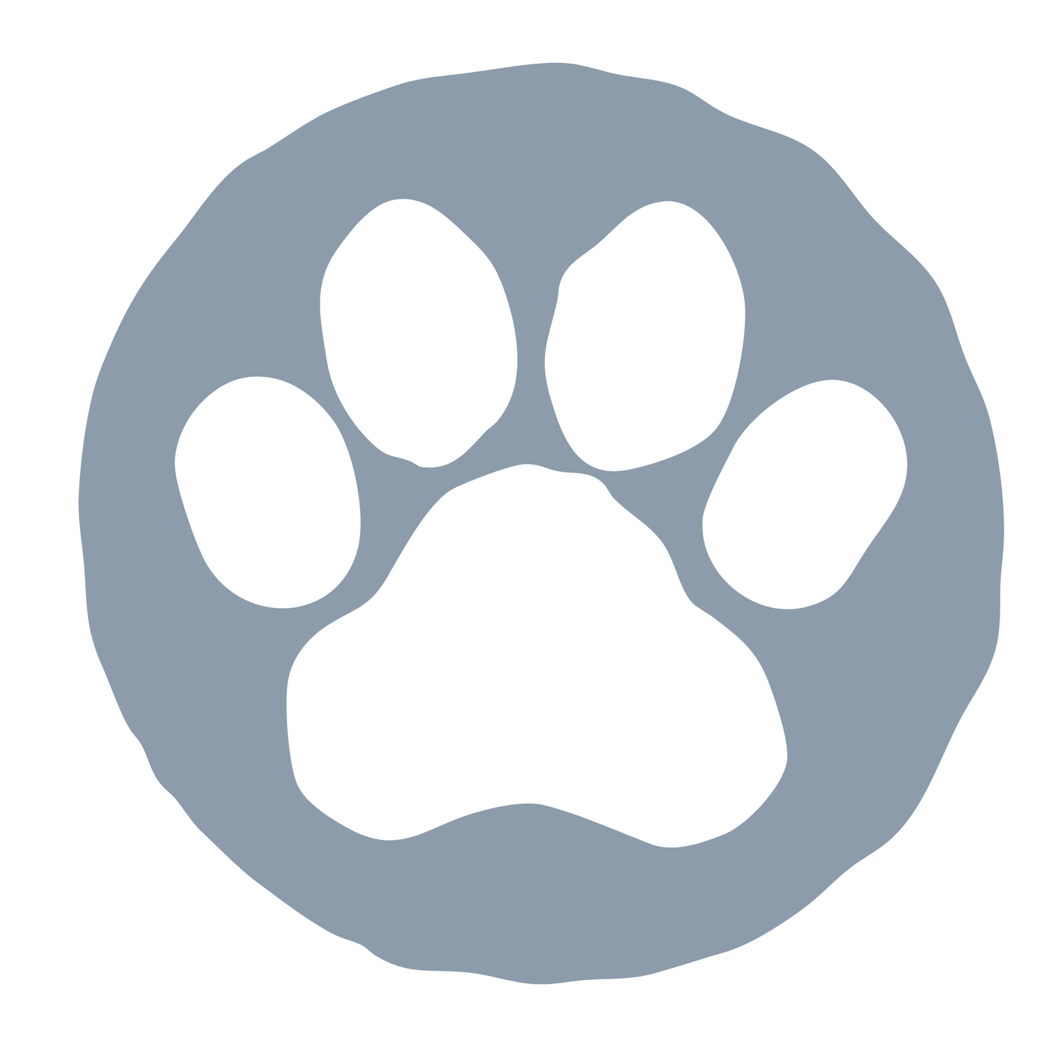 A series of gray silhouettes showing different paw print shapes arranged in a horizontal line.