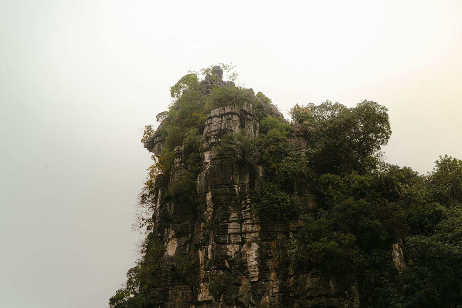 Dramatic rocky cliff face covered in lush green vegetation against a misty sky.