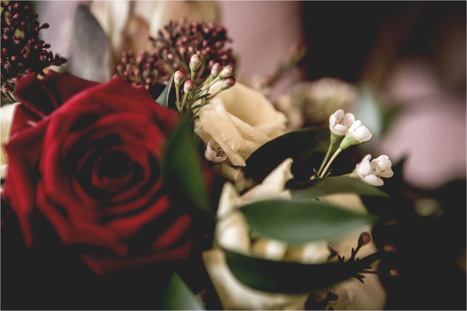 Close-up macro photograph of red and cream roses with delicate white flowers in a romantic floral arrangement.