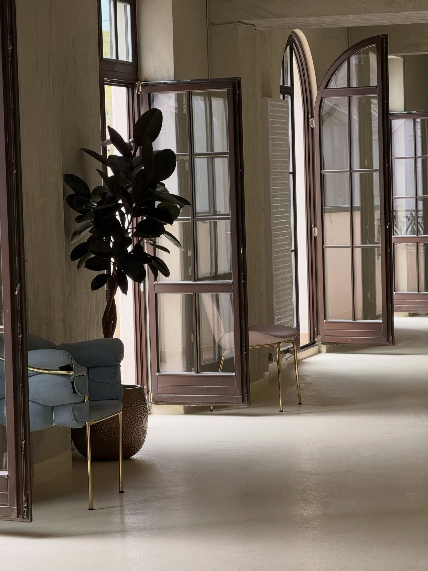 Sunlit hallway with tall arched wood-framed windows, a rubber plant in a woven pot, and a blue velvet armchair on a polished concrete floor.