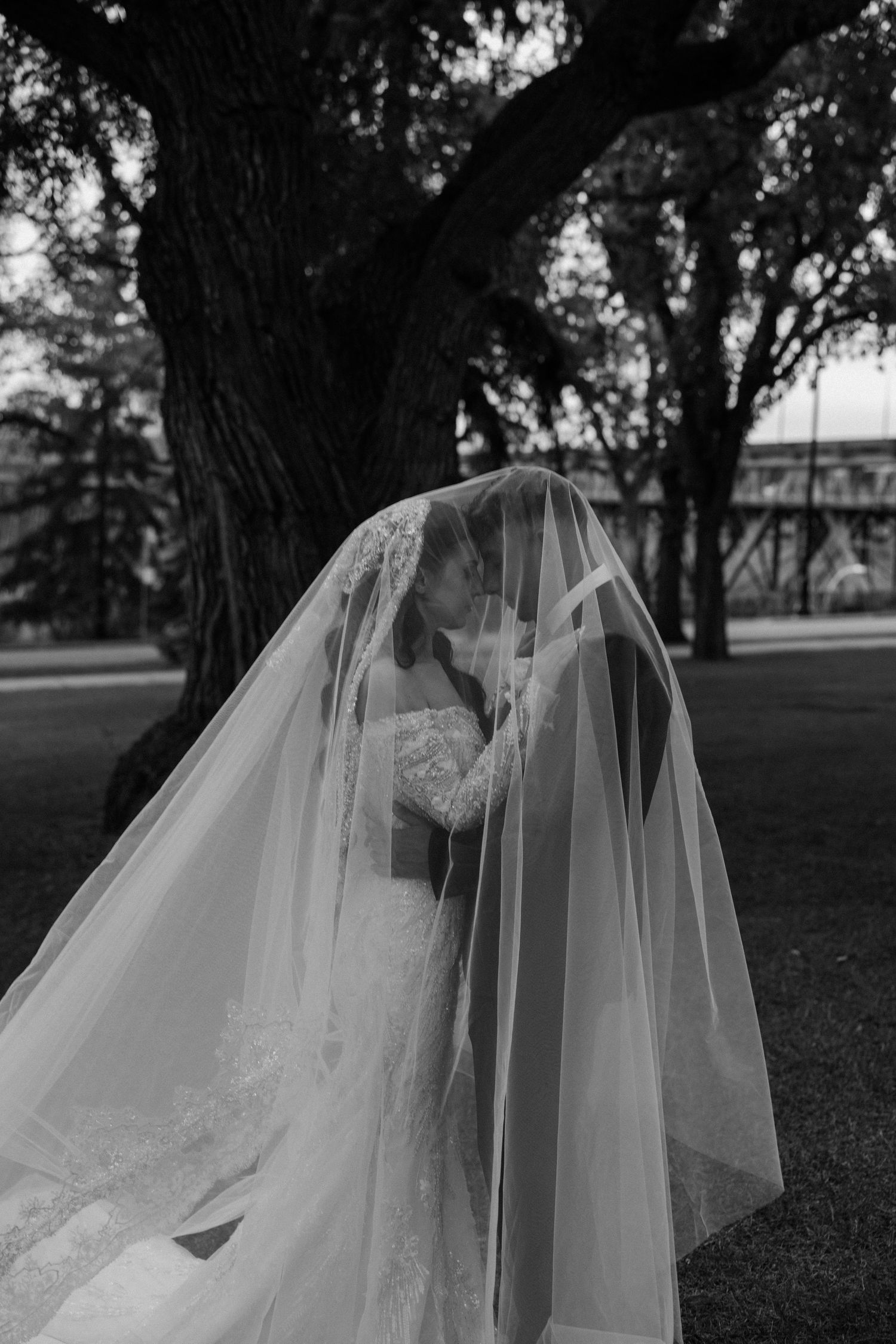 Romantic black and white photo of bride and groom kissing beneath flowing wedding veil under large tree. Taken at the Legislature building.