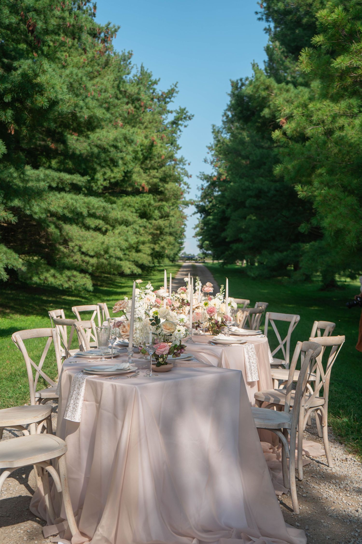 Elegant outdoor wedding reception table set between tall green pine trees under blue sky.