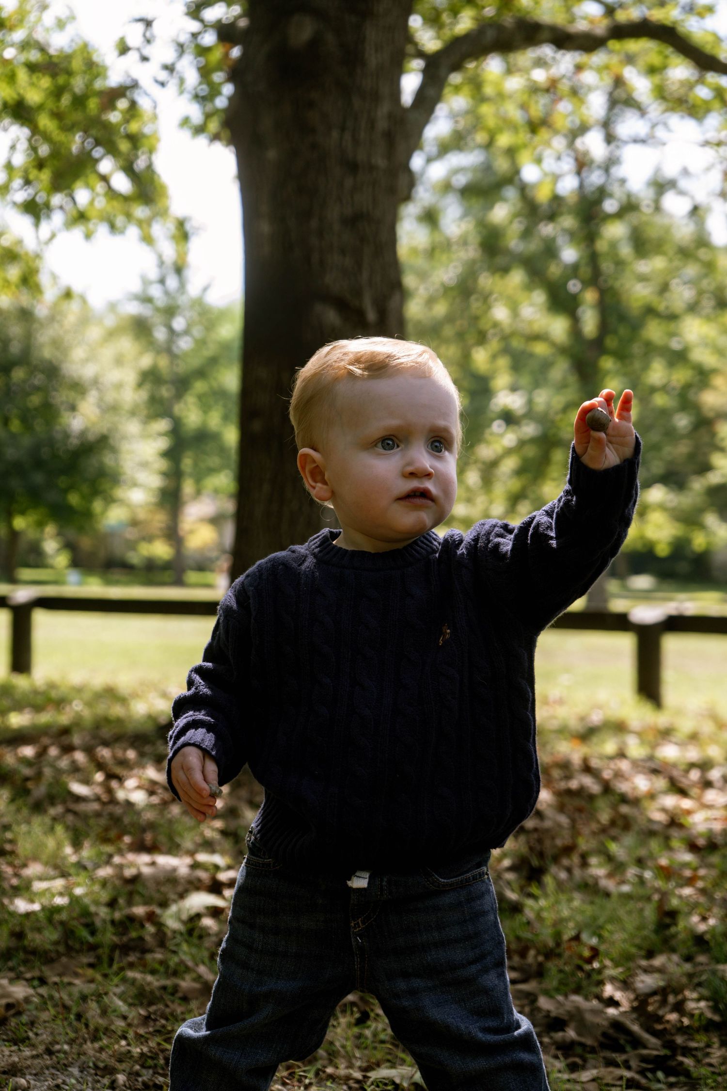 Curious blonde toddler in navy cable-knit sweater pointing outdoors in a sunny green park setting.