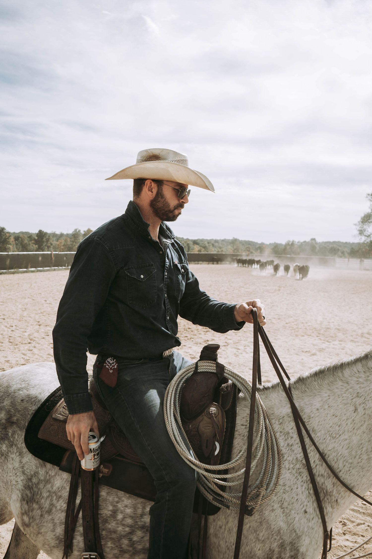 Cowboy on white horse holding lasso and drink in sandy arena with cattle in background.