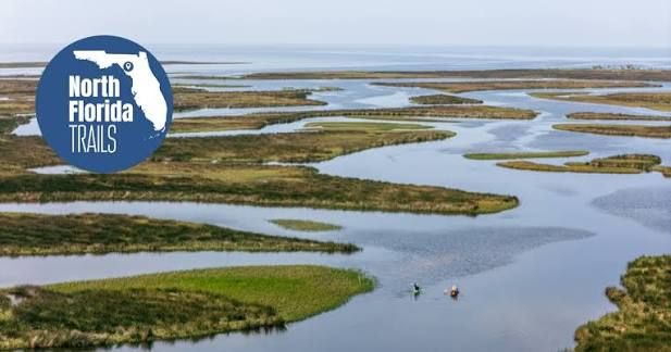 Aerial view of North Florida Trails kayakers paddling through scenic marshland waterways surrounded by lush green islands.