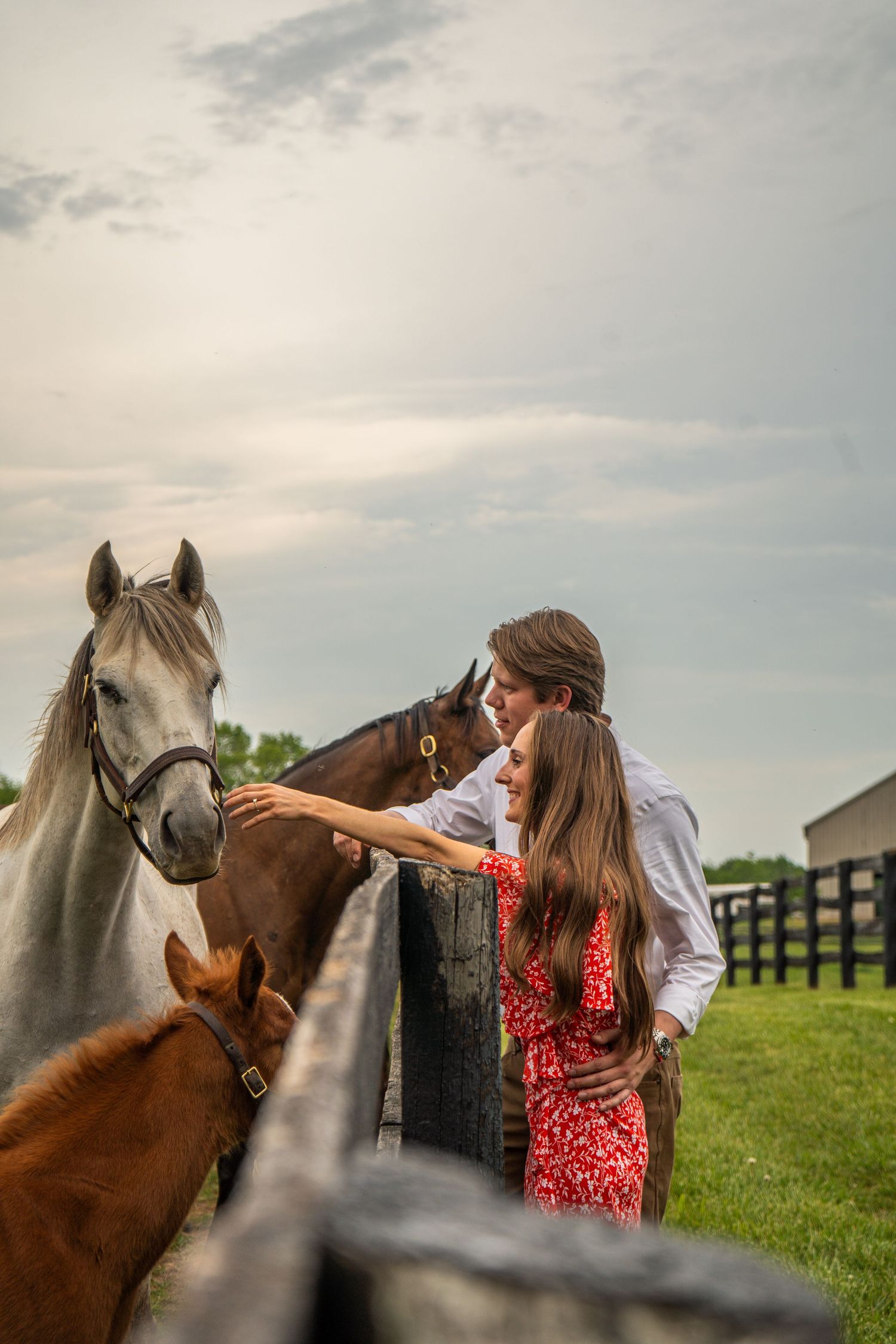 Romantic couple kissing while petting horses at a black fence on a green pasture farm.
