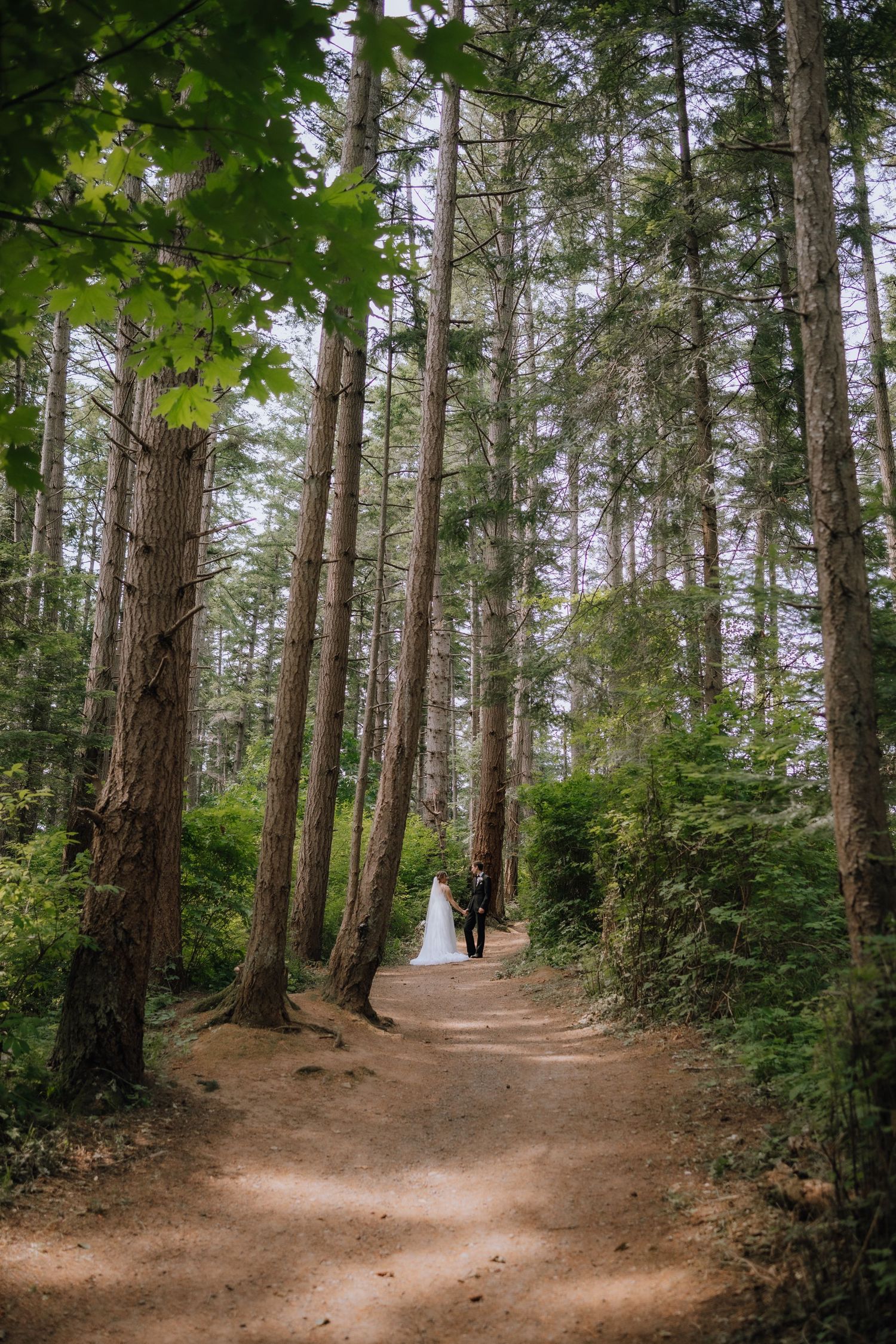 forest wedding portrait in Langford bC