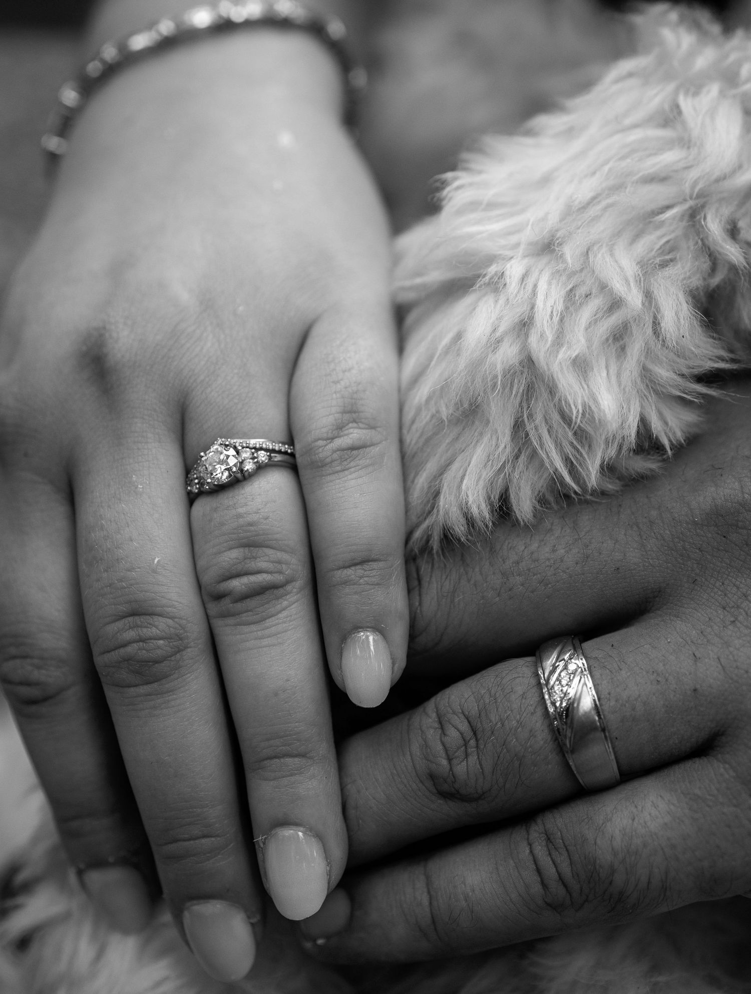 A close-up black and white photo shows hands with a ring resting with a dogs paw.