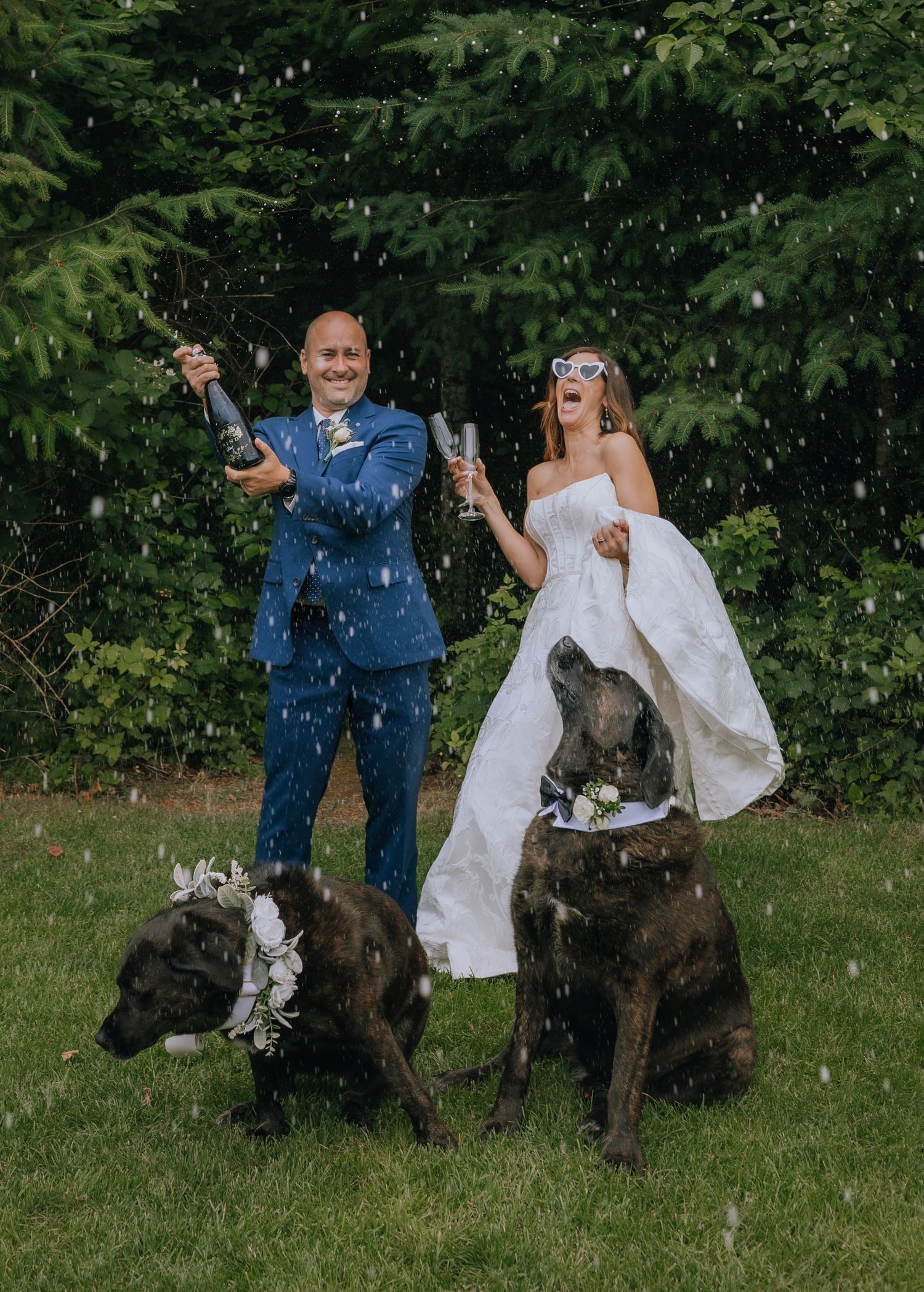 champagne spray wedding photography with dogs