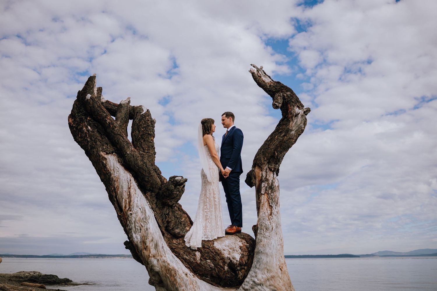 A sequence of photos shows a couple climbing and posing on a large driftwood tree branch against a scenic coastal backdrop.