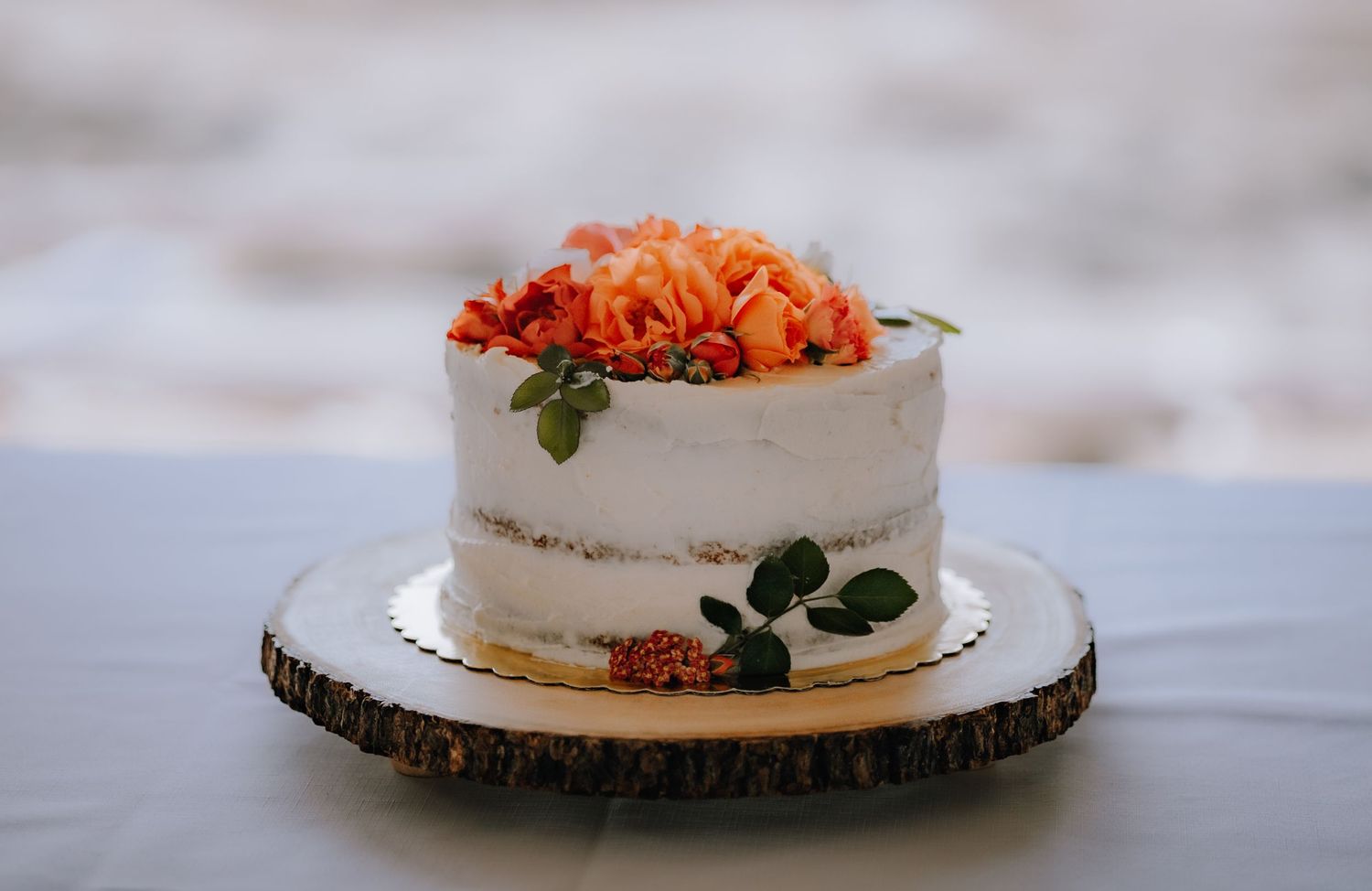 Gabriola Island Wedding Photographer, Bridal portraits, cake cutting, reception, nanaimo photographer