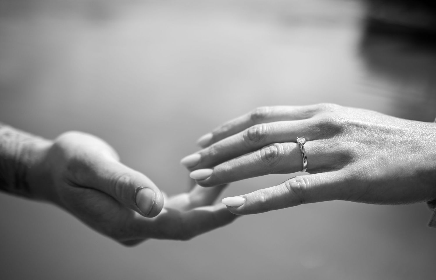 tofino proposal