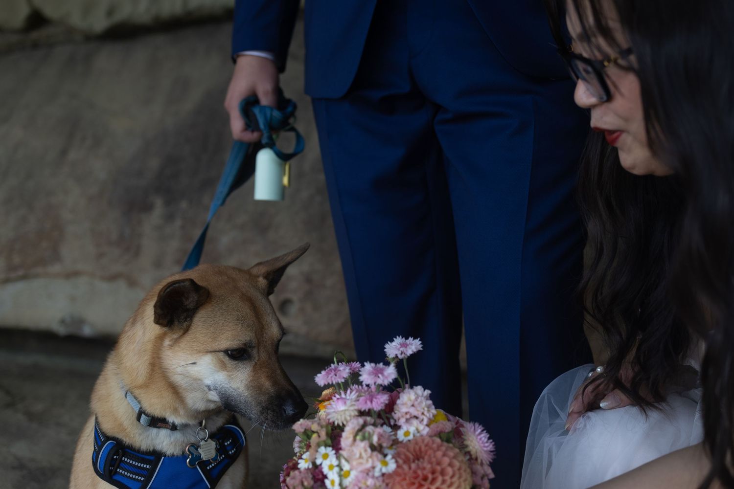 Gabriola Island Wedding Photographer, Bridal portraits, Malaspina galleries, sandstone, elopement photography, champagne spray