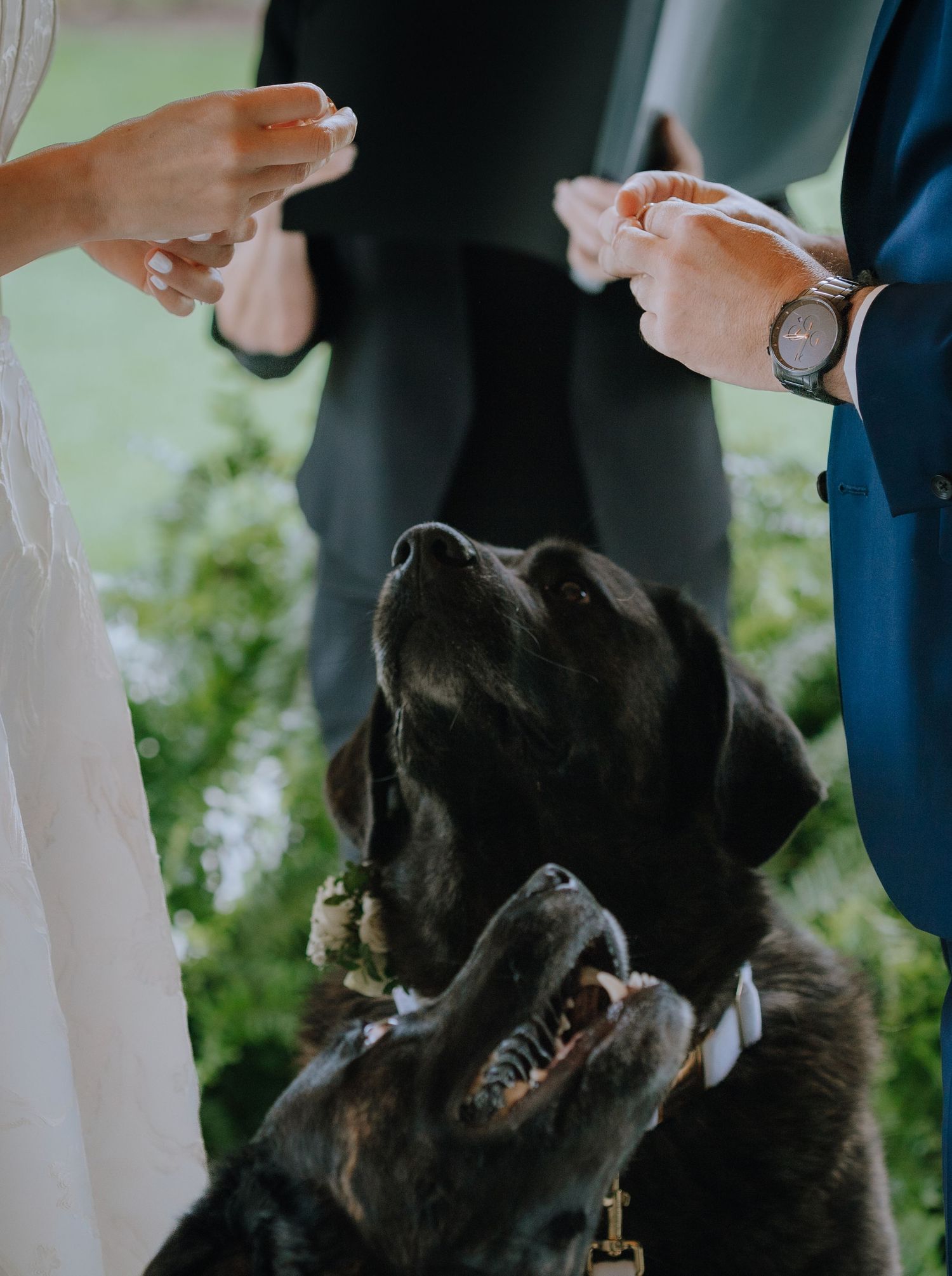 vancouver Island elopement photographer