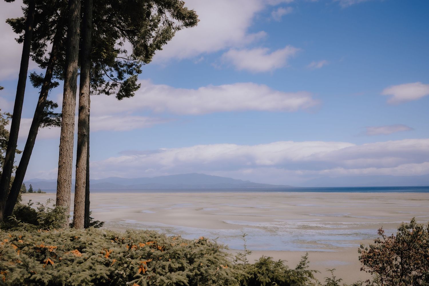 Tigh Na Mara Wedding, Parksville Wedding, Nanaimo Wedding Photographer, Vancouver Island Wedding Photographer