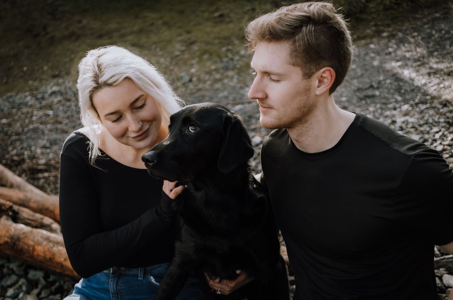 Dogs at engagement sessions