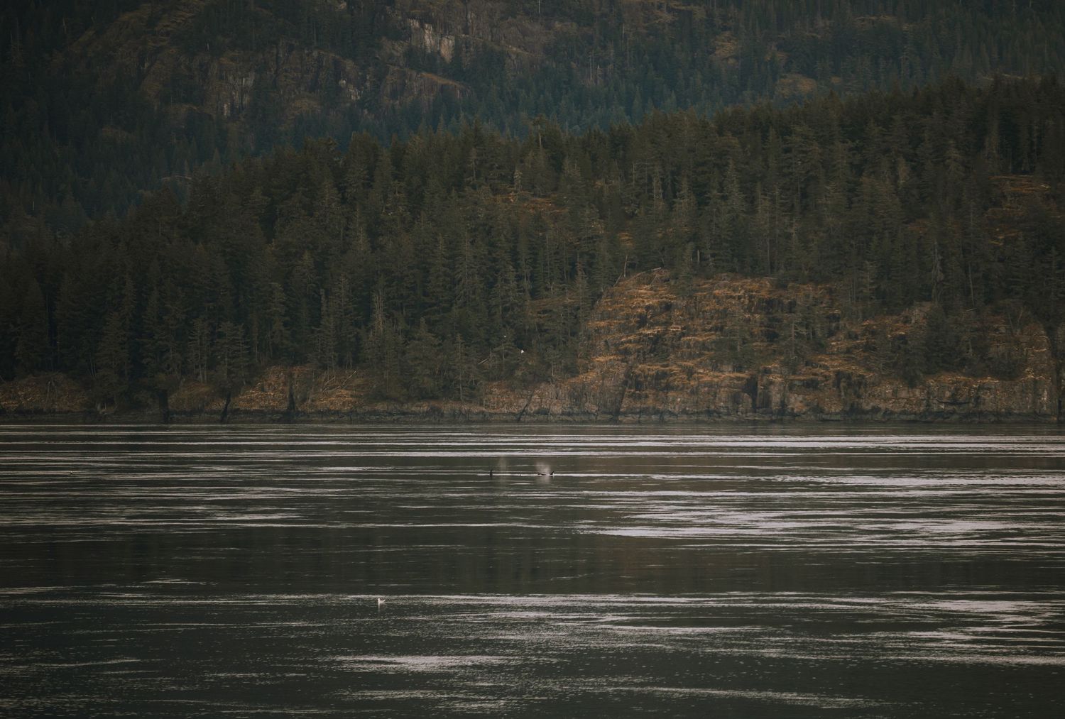 A dark moody lake surrounded by forested hills with textured water patterns reflecting the overcast sky, a pod of orcas swims by