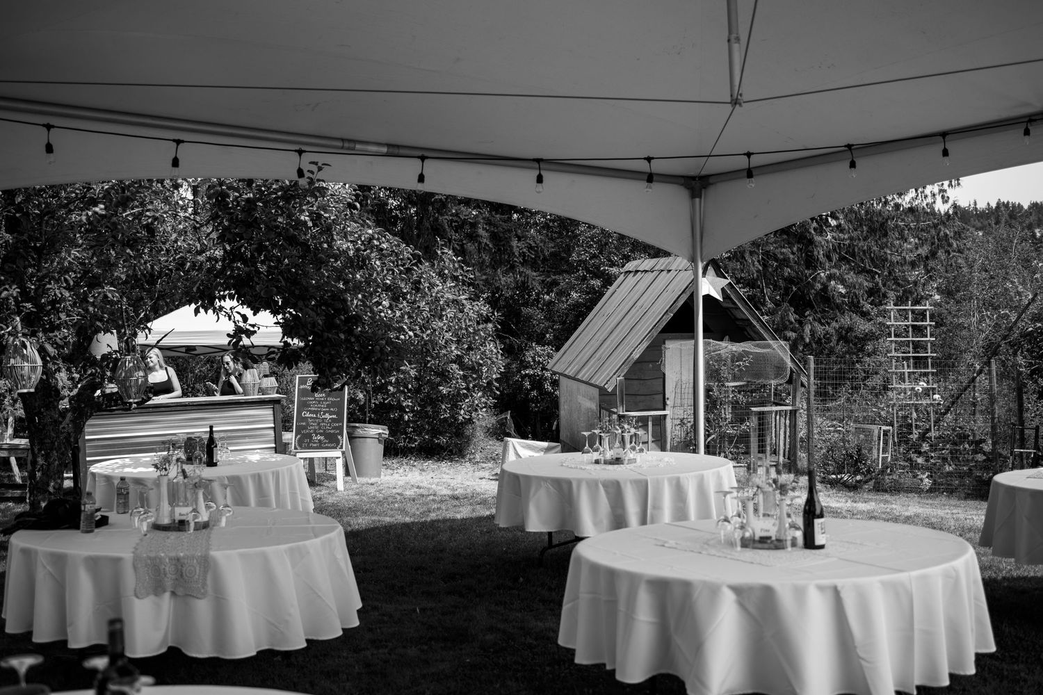 Nanaimo wedding, ceremony, summer wedding, vancouver island photographer, reception, brannen lake, nanaimo photography, backyard wedding