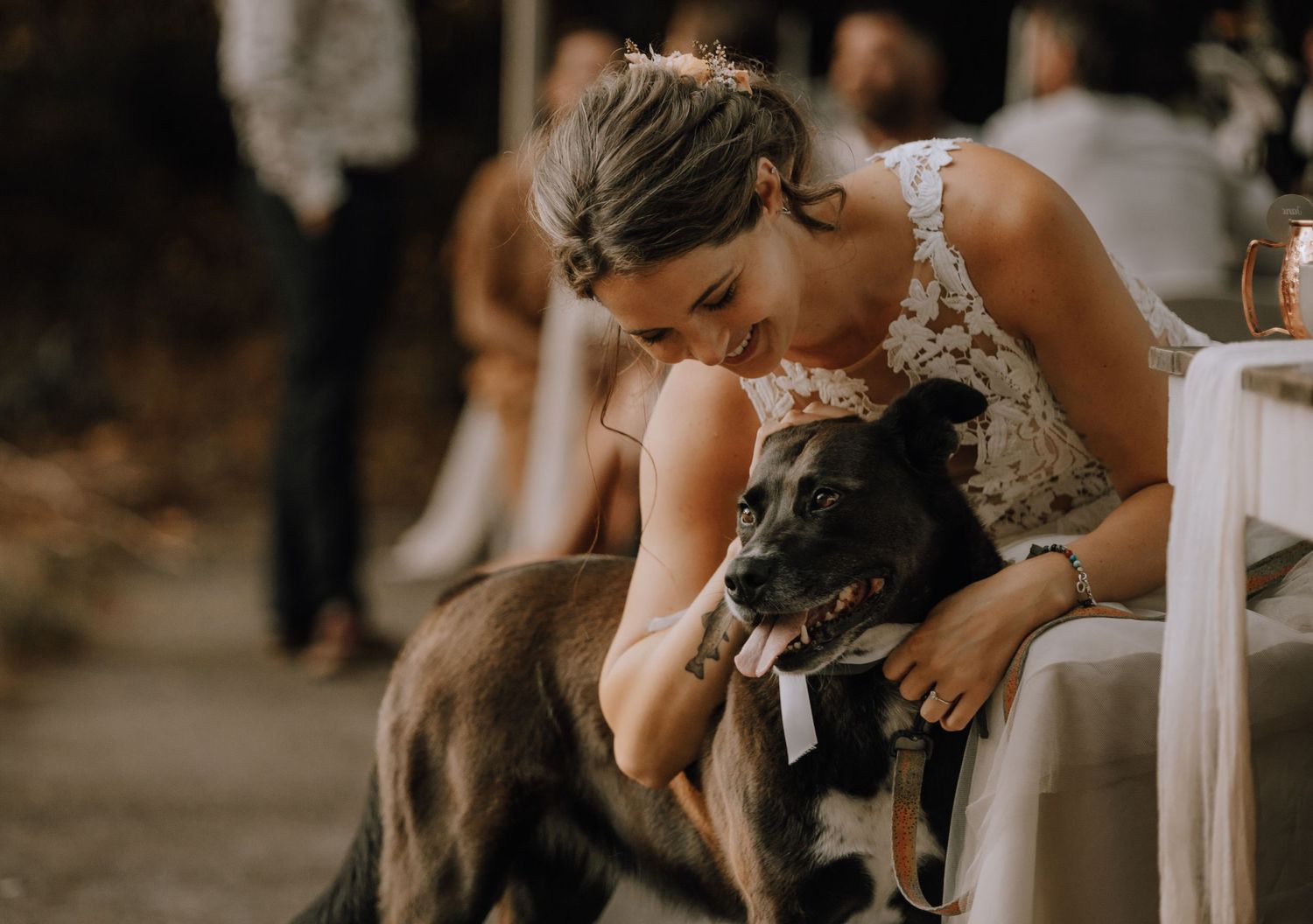 bride and her dog