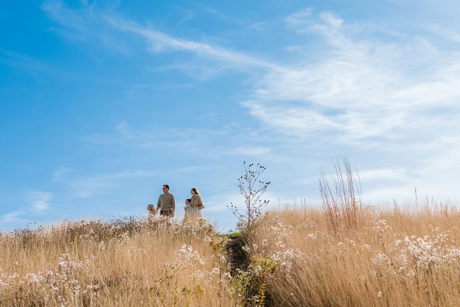 Two hikers stand atop a golden meadow hill under a bright blue sky with wispy clouds on a sunny day.