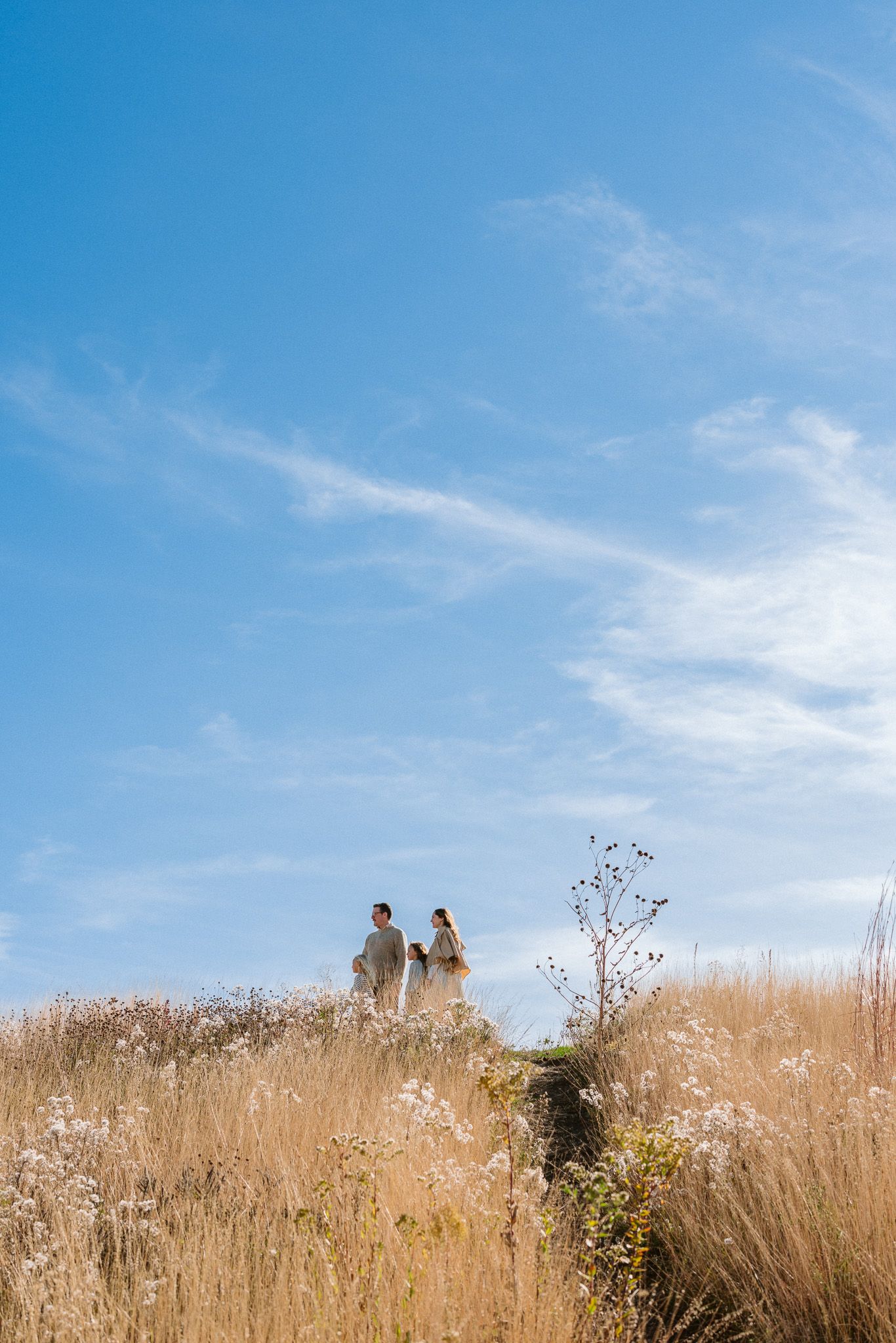 Couple standing on a golden meadow hill under a bright blue sky with wispy clouds on a sunny day.