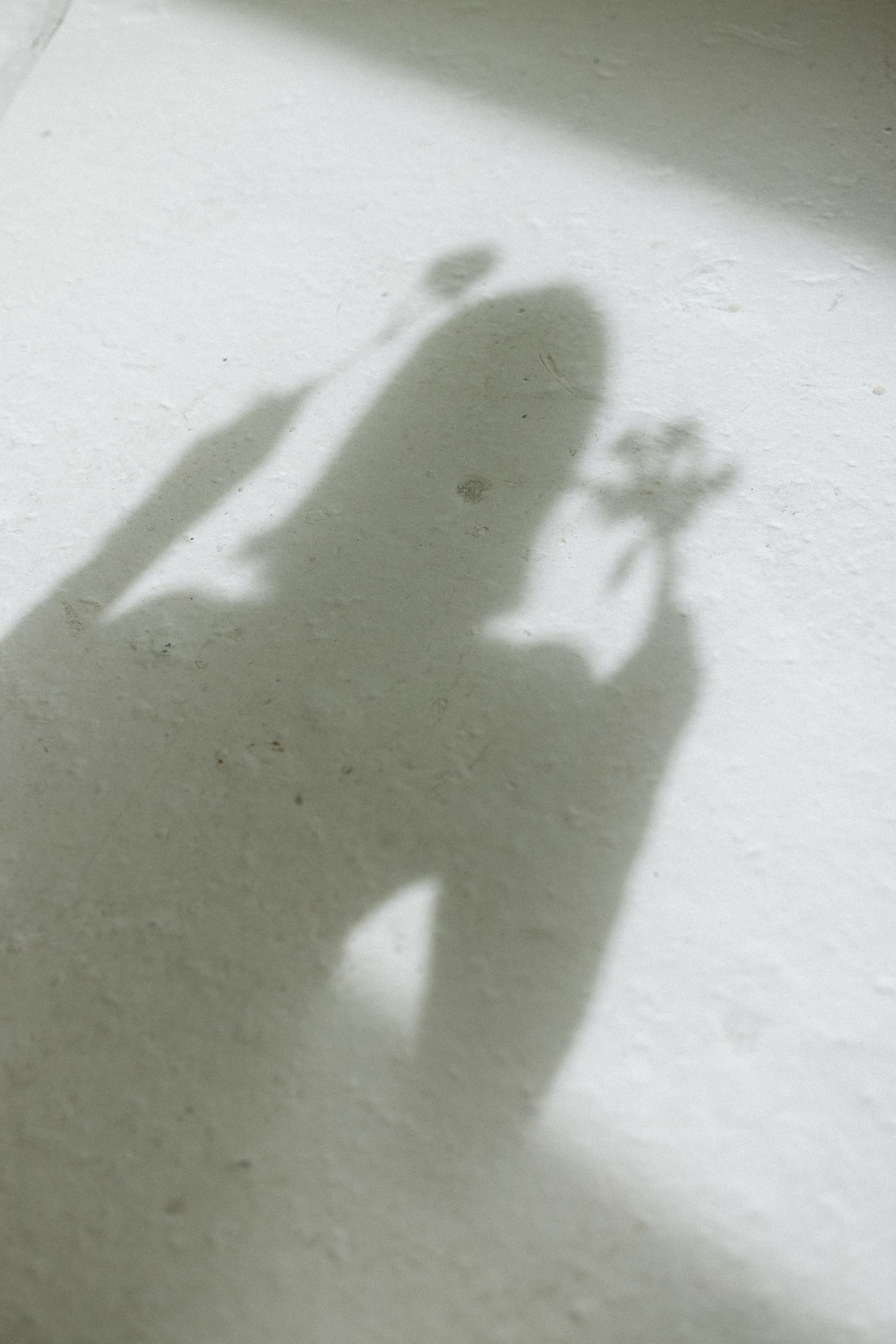 Shadow silhouette of figure with flowers cast on white wall.