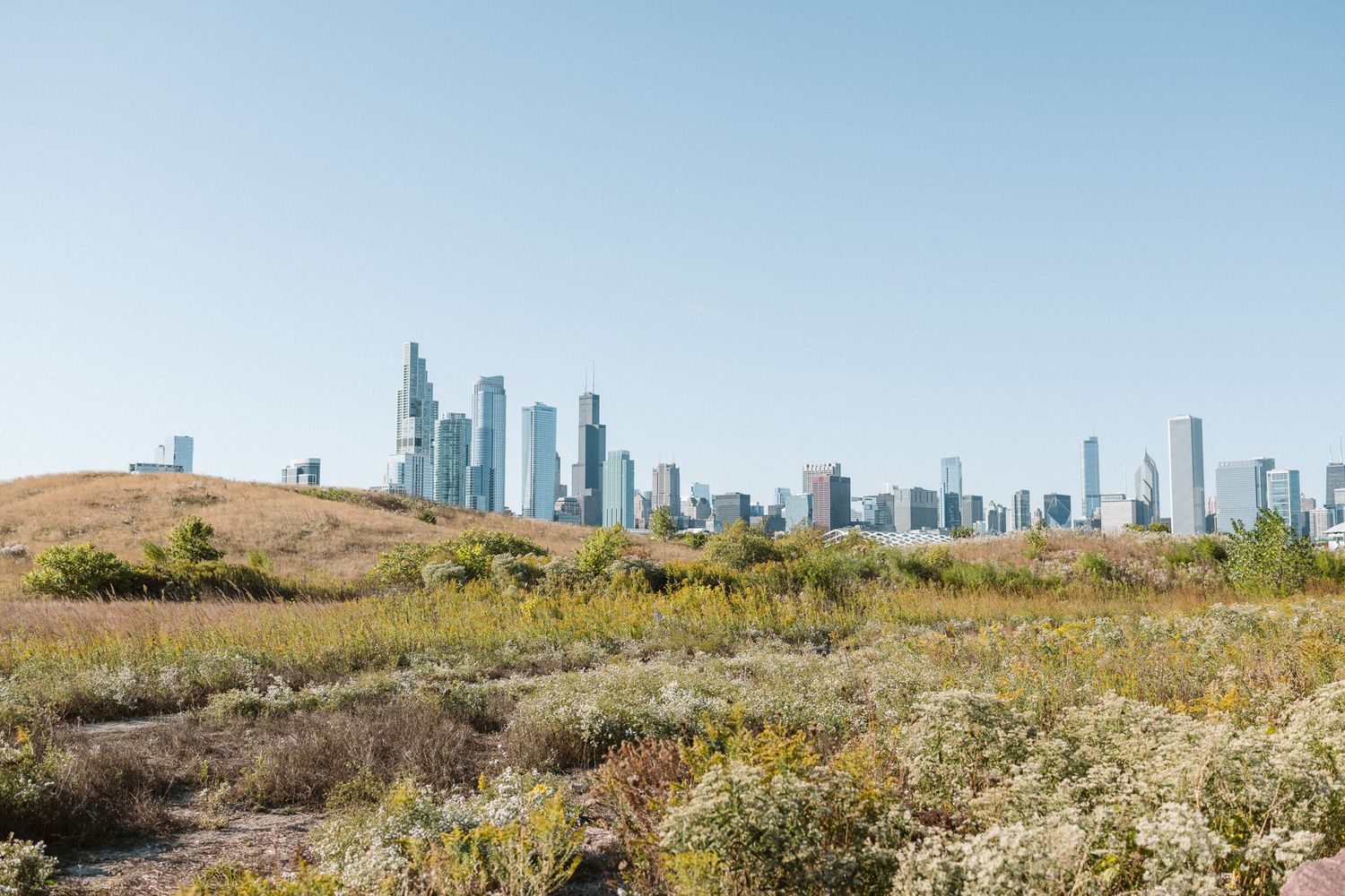 Modern Dubai skyline towers rising behind a dry desert landscape with native grasses and shrubs under blue sky.