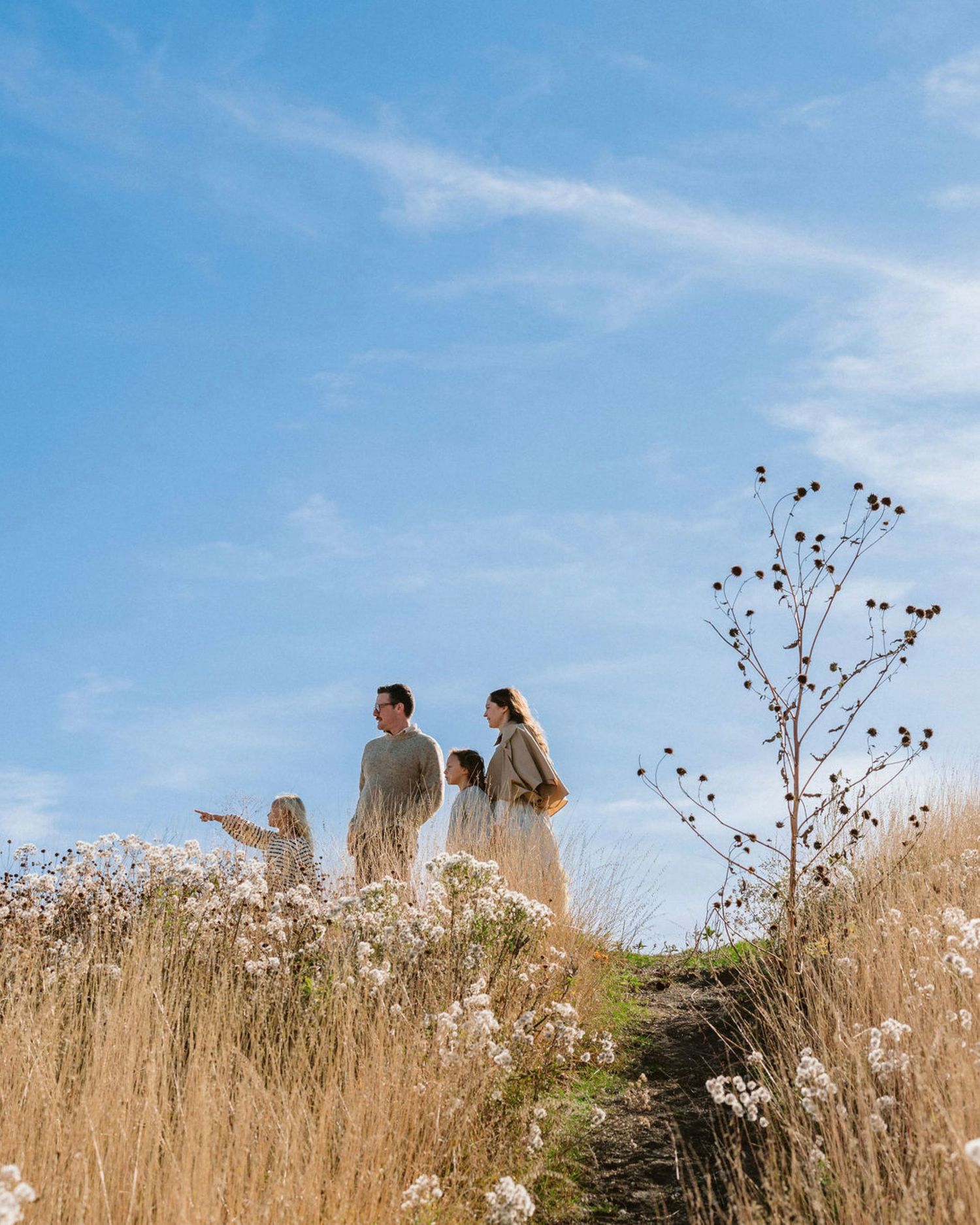 Family of four standing in a golden meadow under a bright blue sky, surrounded by wildflowers and dried grasses.