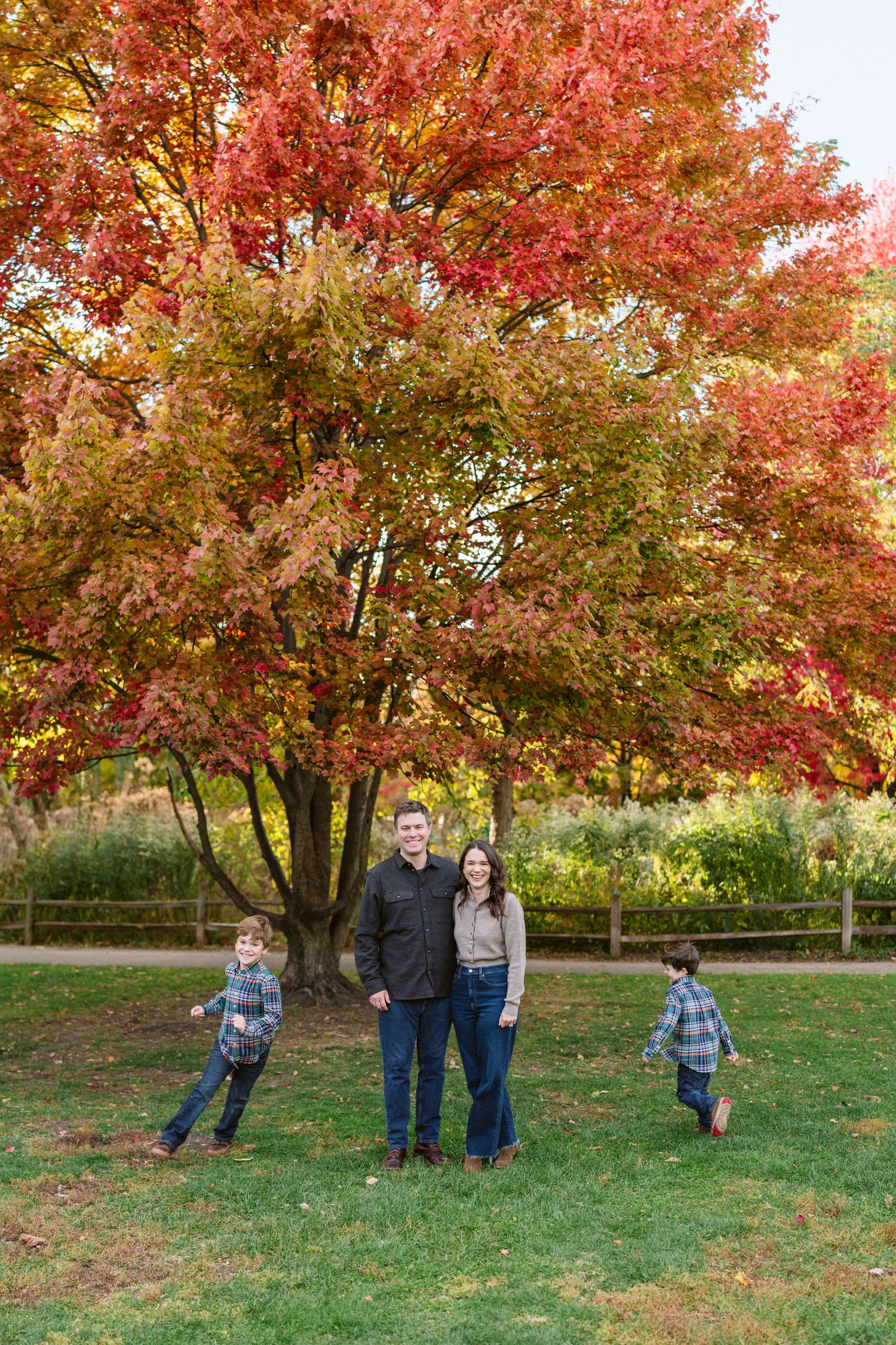 Family of four posing under a vibrant red and orange autumn tree on green grass in a park setting.