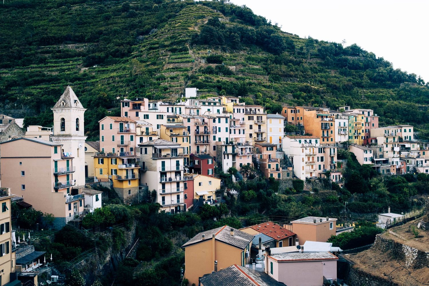 Colorful buildings stacked on a hillside in Cinque Terre, Italy, surrounded by lush green terraced slopes.