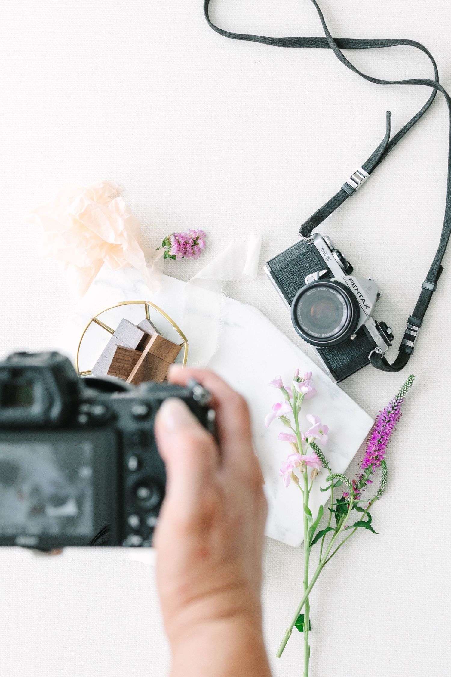 Hands holding a black DSLR camera with purple flowers against a white background in a minimalist photography setup.