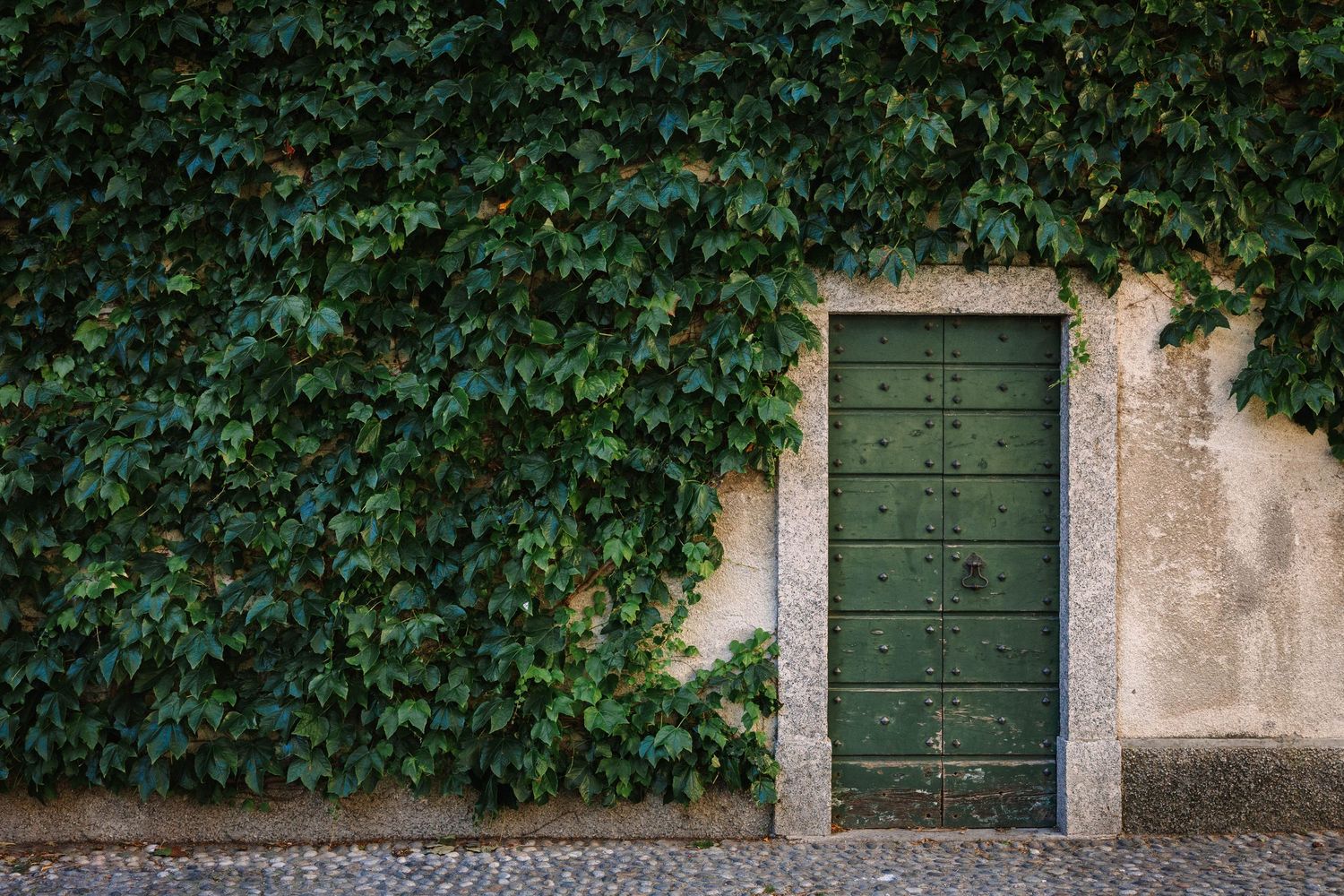 A green wooden door set in a stone-framed entrance, surrounded by lush ivy-covered walls on a cobblestone street.