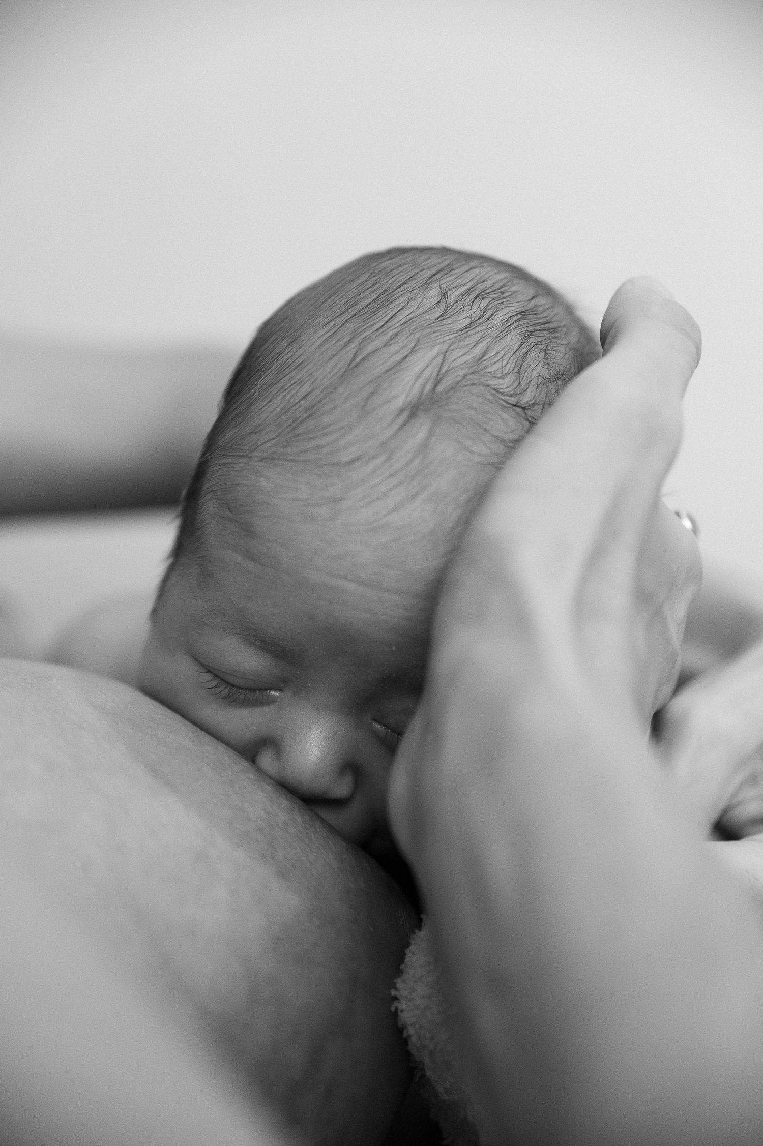 Photography in Freeling, Barossa Valley, Gawler & Adelaide - family, newborn, maternity, engagement and couples and wedding sessions