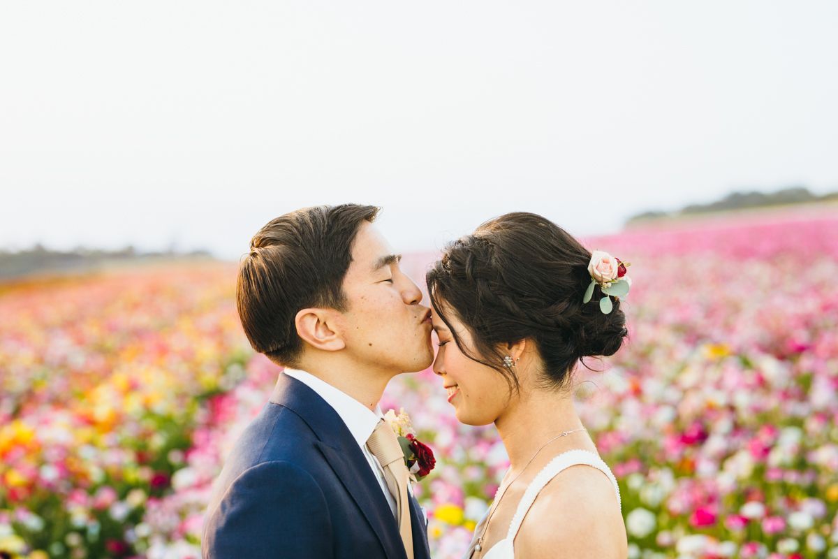 Groom kissing bride on the cheek in a stunning pink ranunculus flower field.