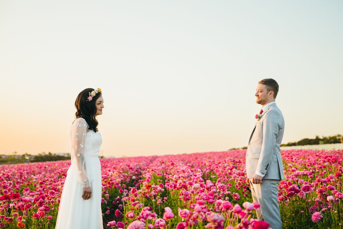 Bride and groom standing apart in a vast pink ranunculus field at sunset.
