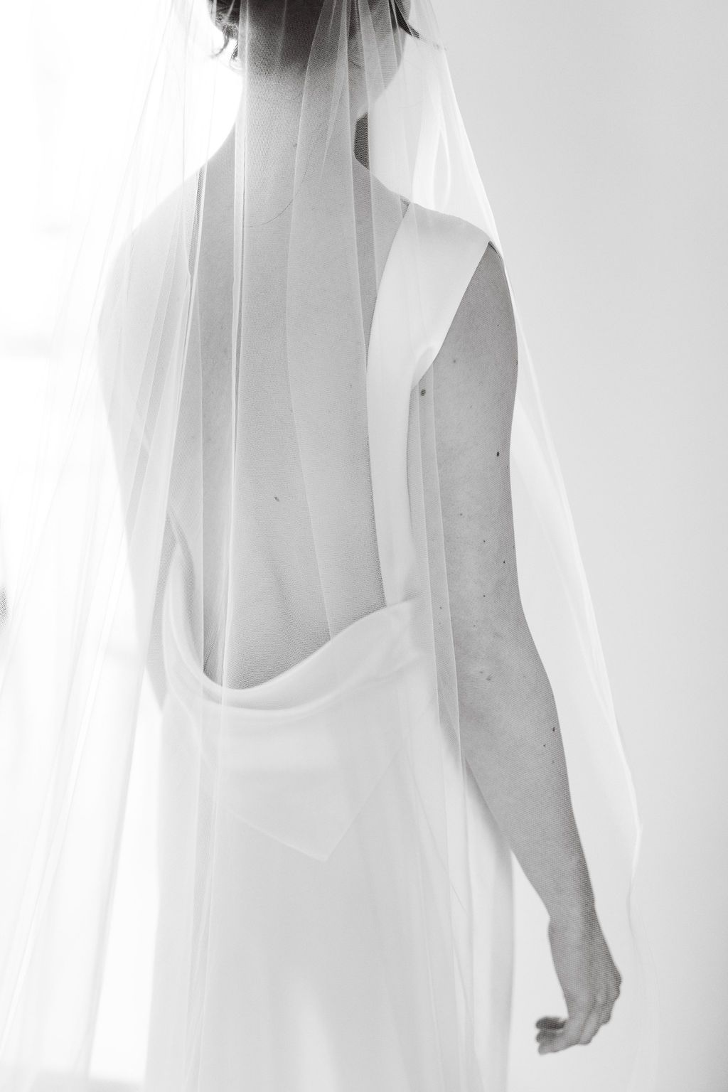 Black and white photo of bride in elegant backless white wedding gown with cathedral veil from behind.