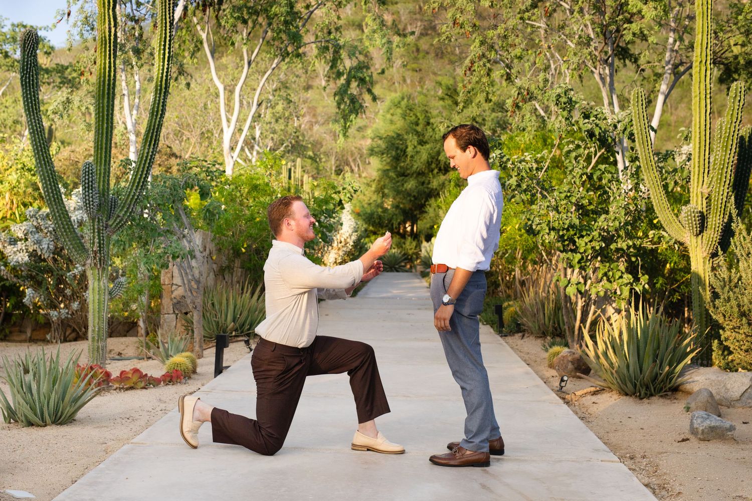 Man proposing on one knee to his partner in a desert garden with tall cacti.