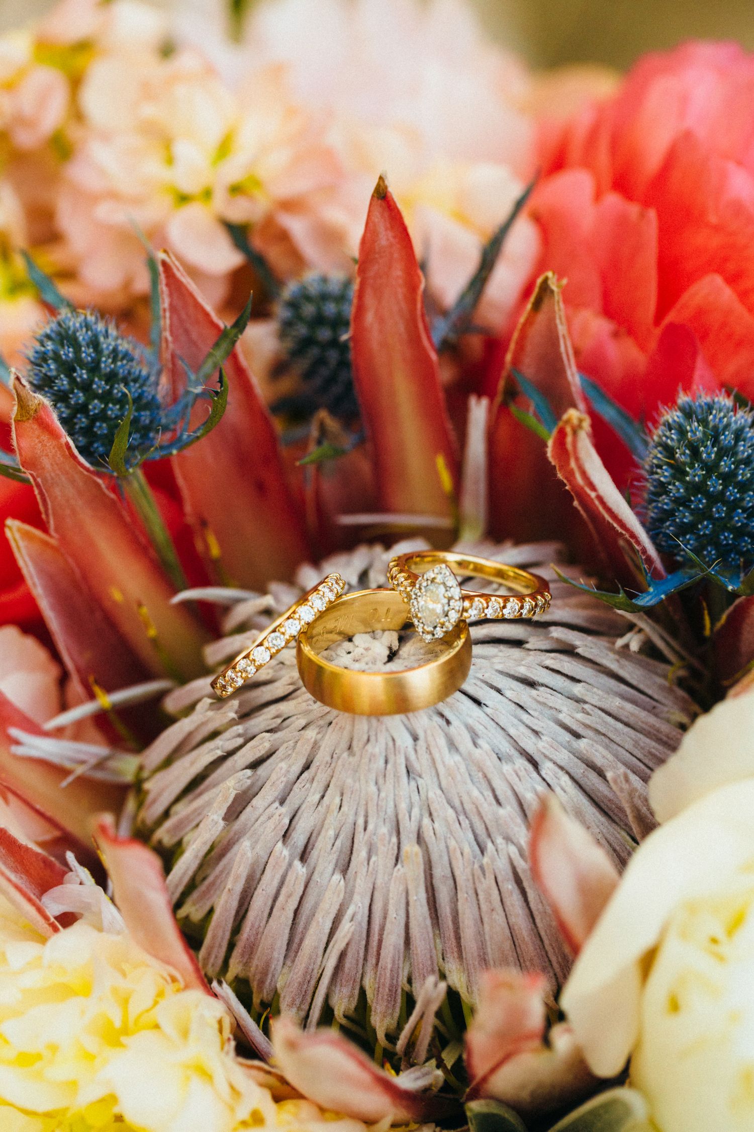 Gold wedding bands and diamond engagement ring resting on a king protea bloom surrounded by colorful florals.