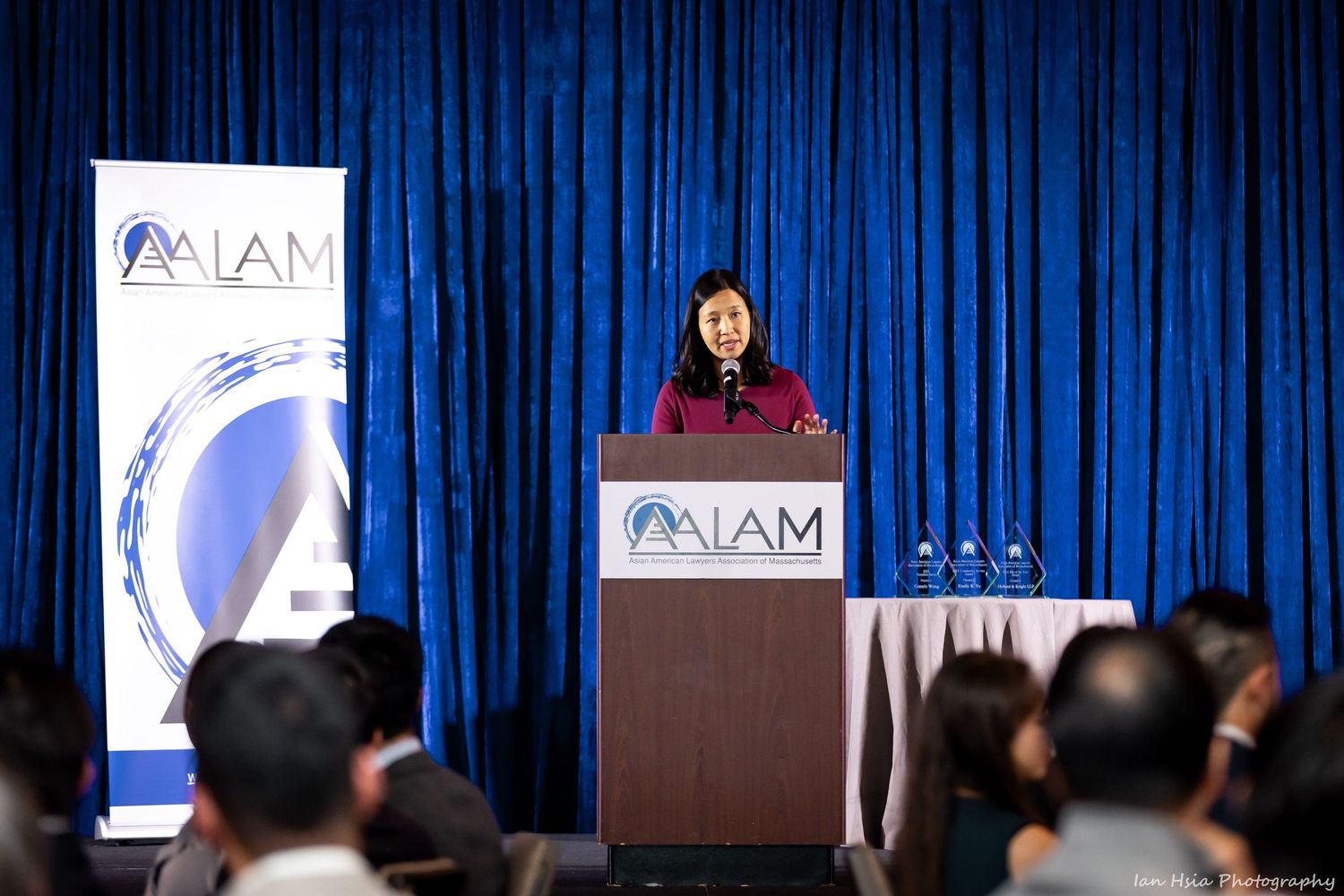 Professional speaker presenting at AALAM conference with blue curtain backdrop.