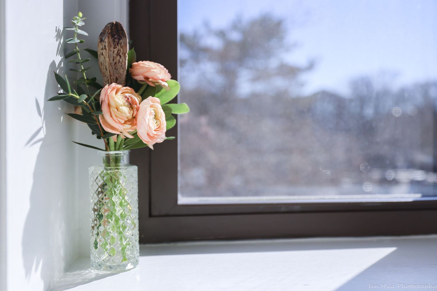 Sunlit window with delicate pink roses in a vase creating a romantic atmosphere.