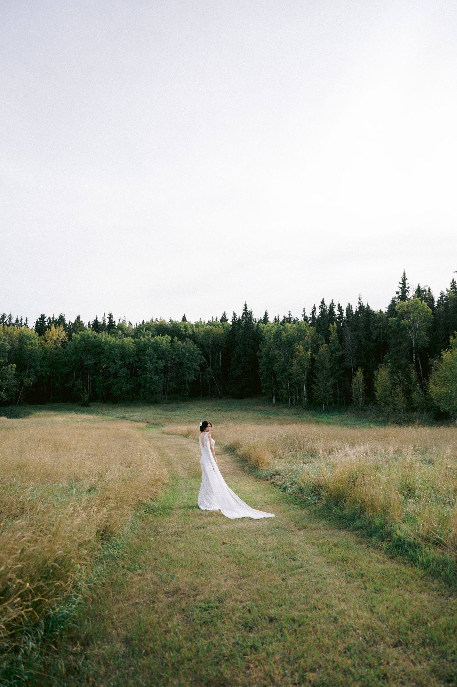 A person in a wedding dress stands alone in a scenic field bordered by evergreen forest.
