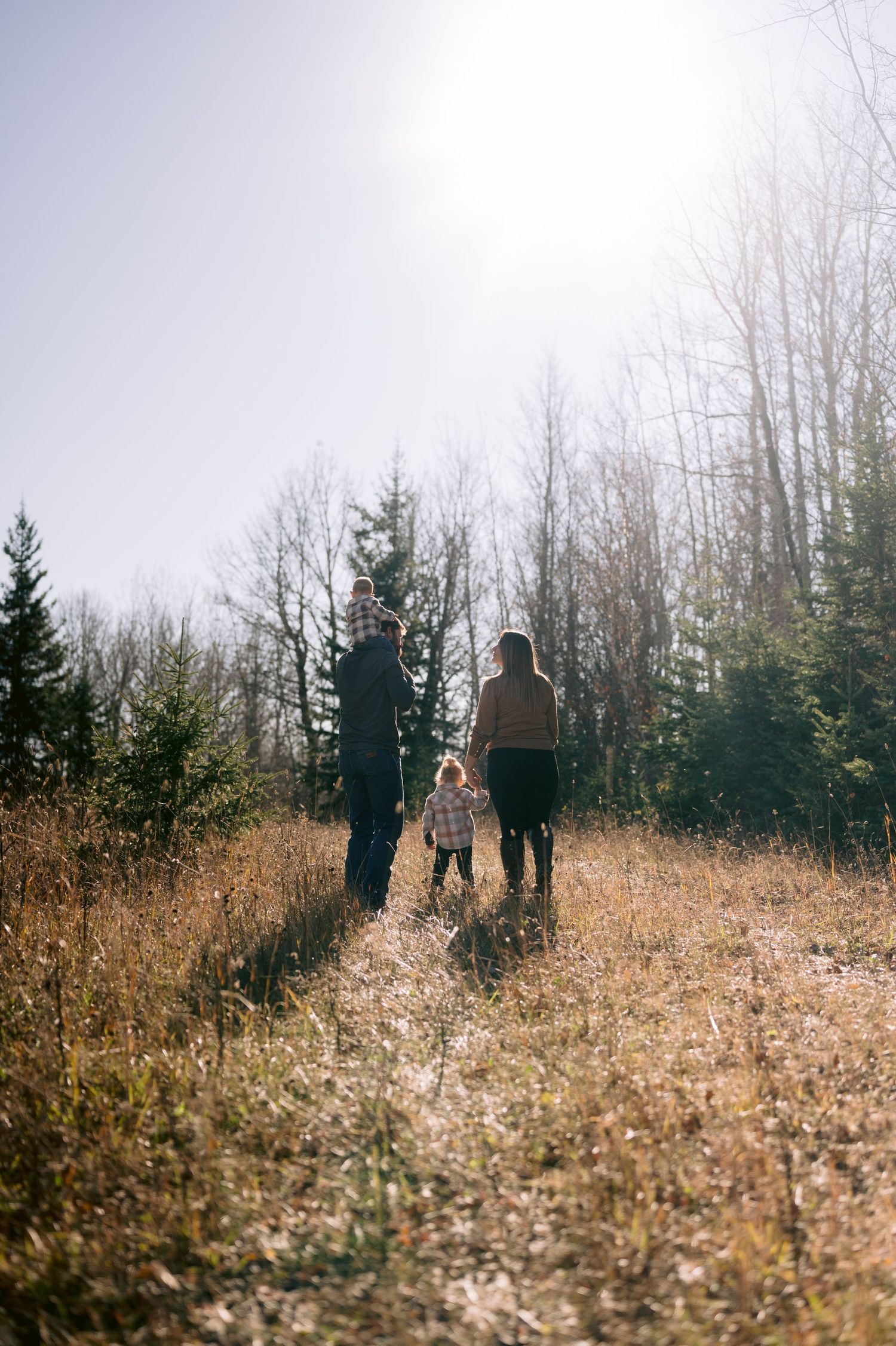 Family of three walking through a sunlit autumn meadow surrounded by bare trees and evergreens.
