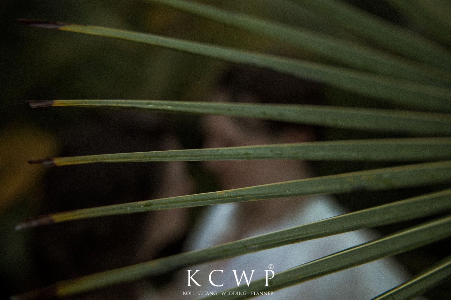 koh kood wedding