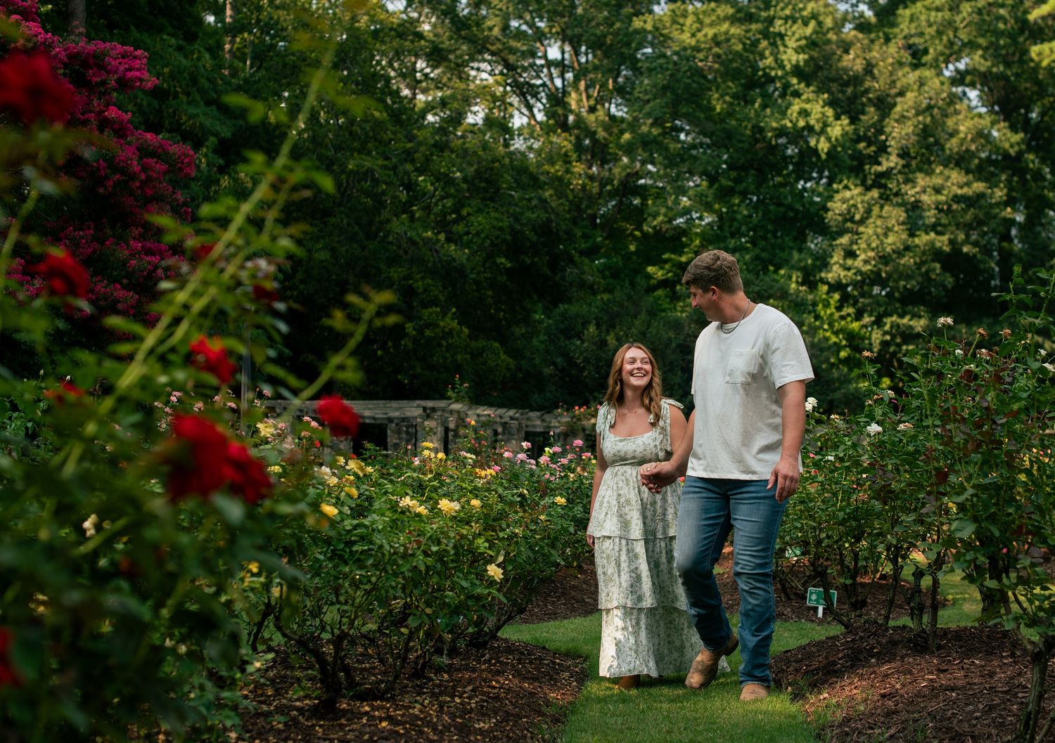 Engagement couples photoshoot at Raleigh Rose Garden North Carolina during golden hour