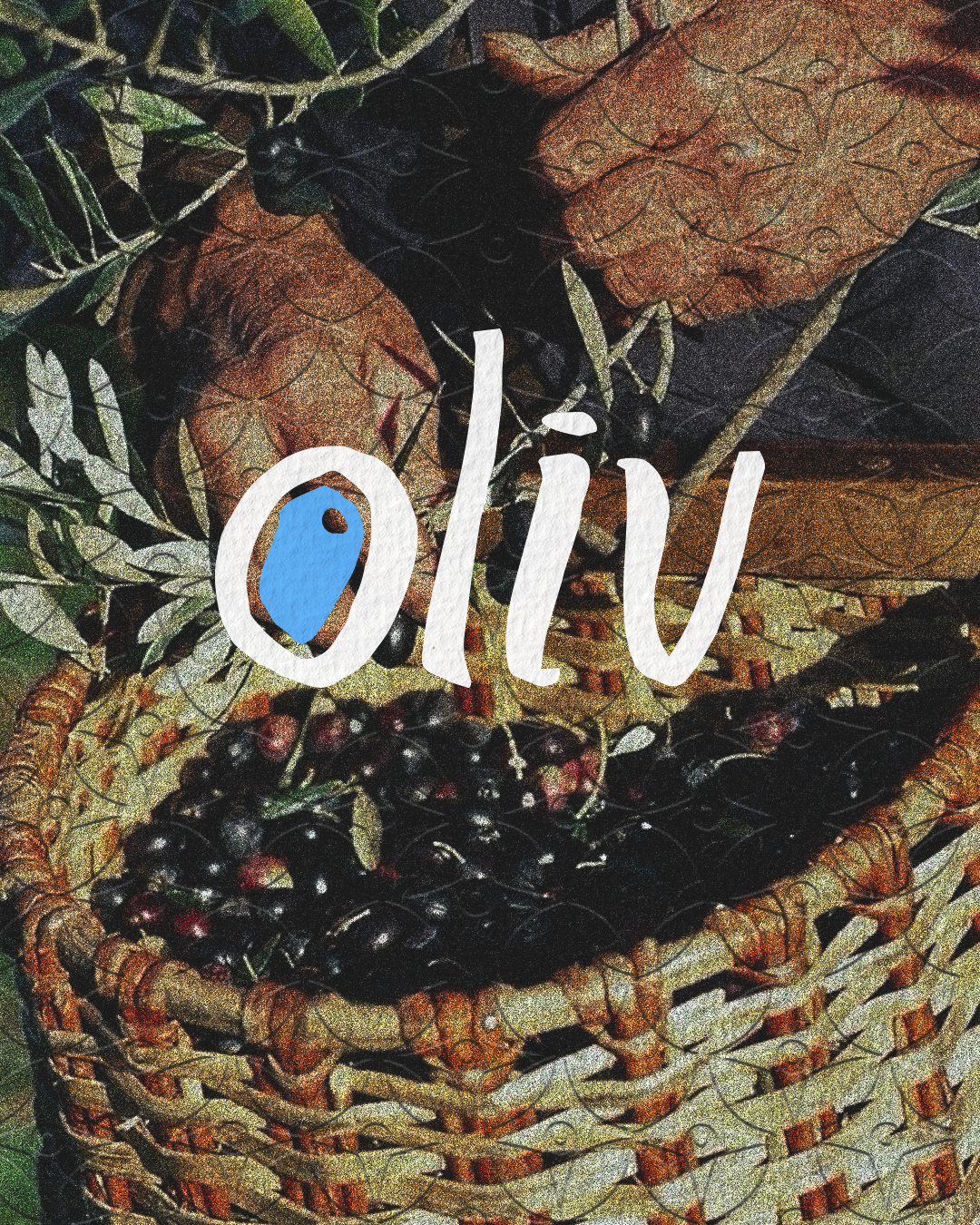 brand logo for olive oil brand