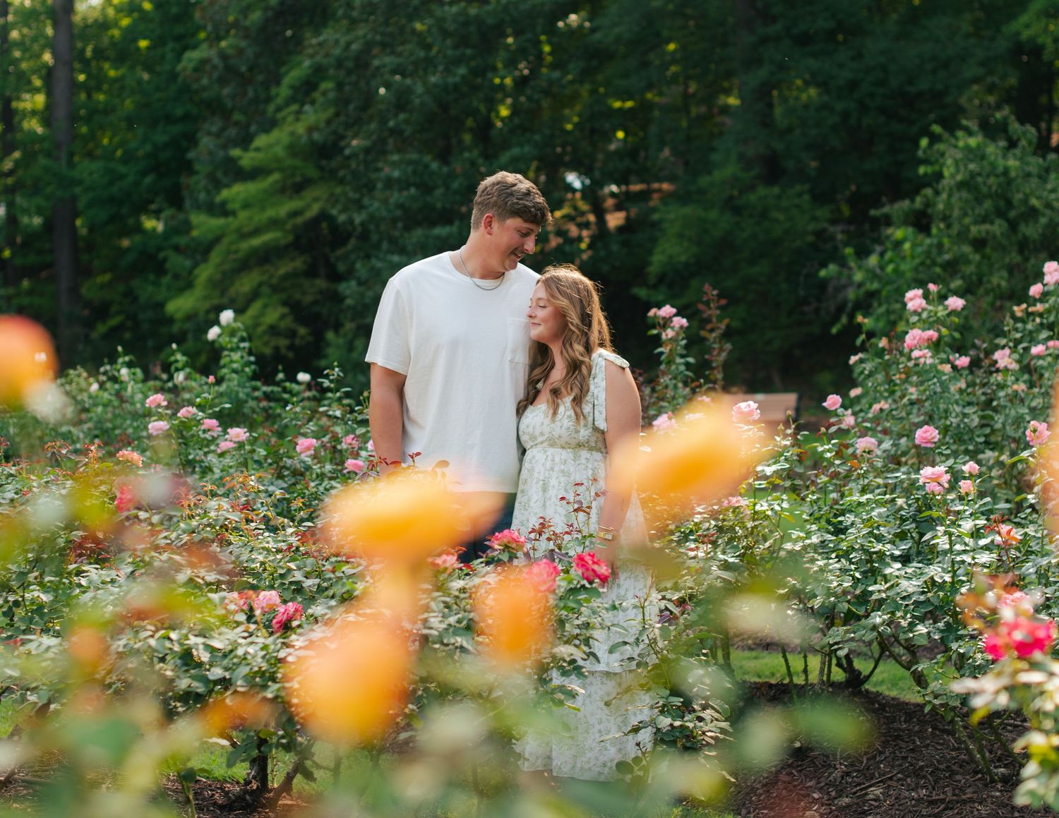 Engagement couples photoshoot at Raleigh Rose Garden North Carolina during golden hour