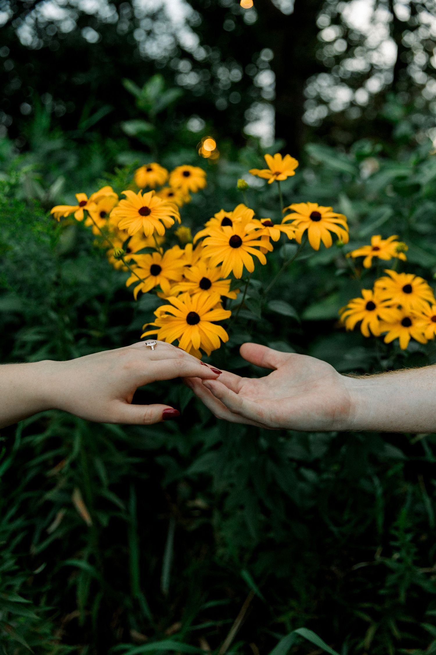 Two hands reaching toward each other among vibrant yellow black-eyed Susan flowers in a lush green garden.