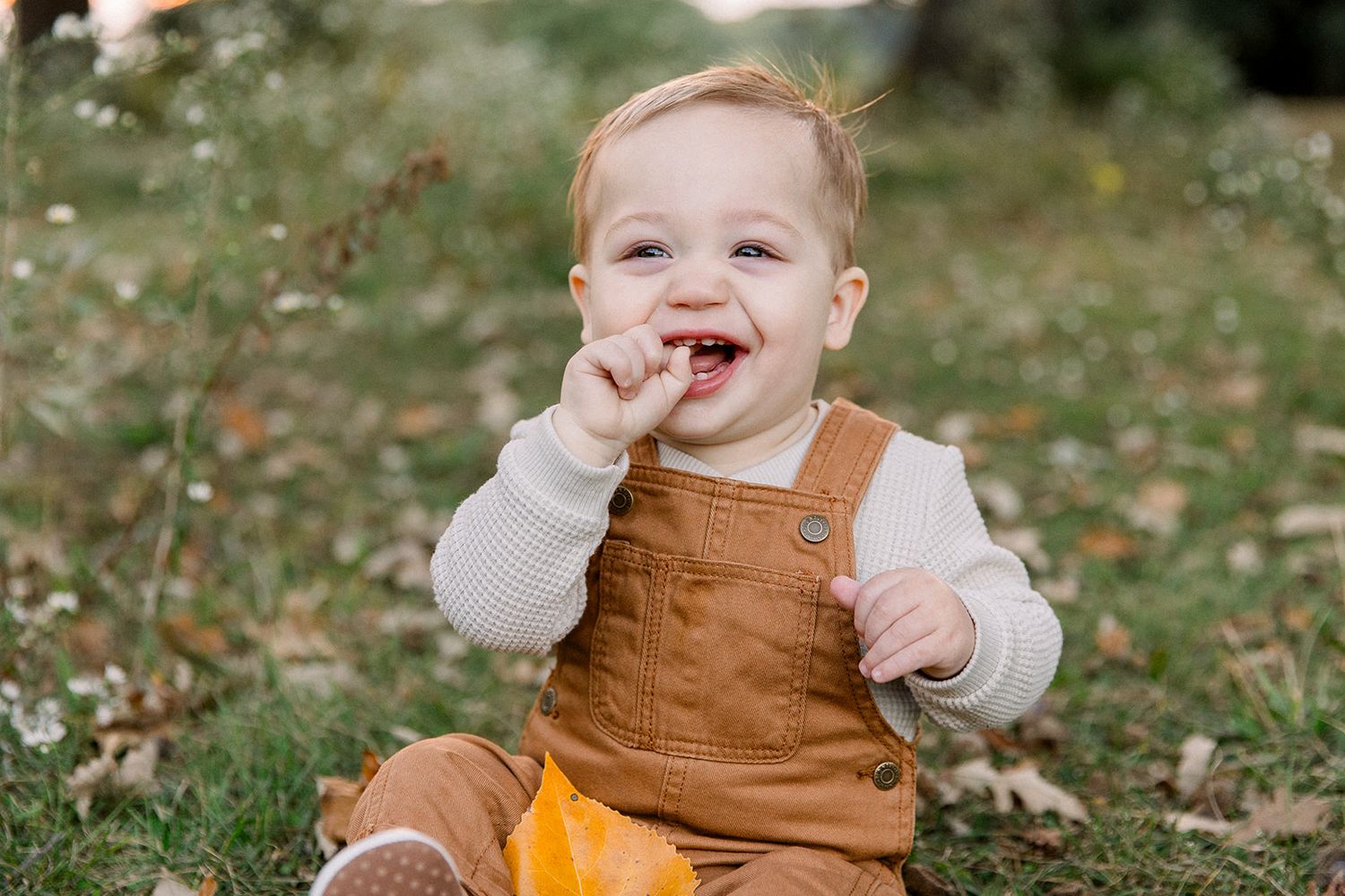 family photographers, fall outdoor mini session for a chicago suburban young family in schaumburg