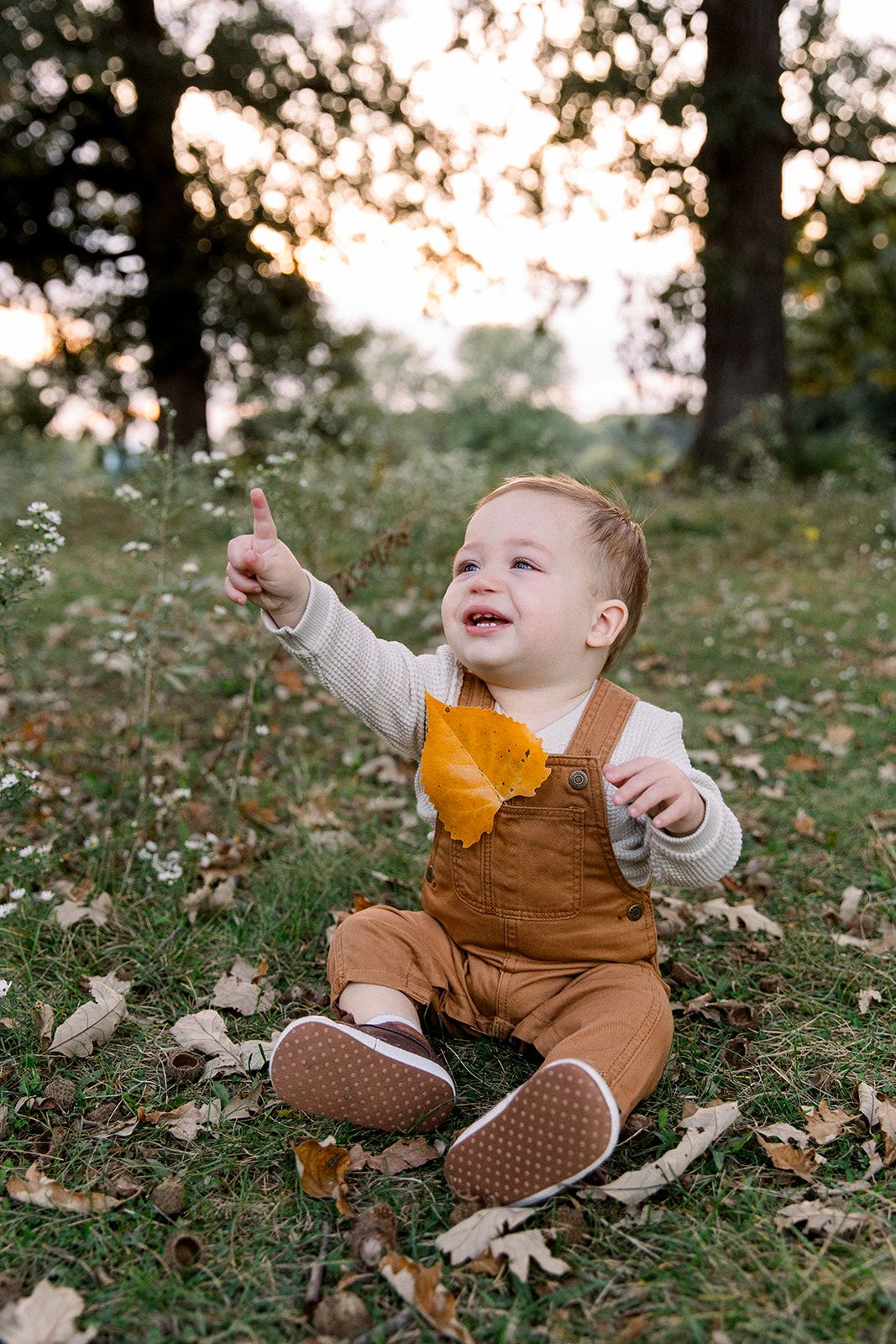 family photographers, fall outdoor mini session for a chicago suburban young family in schaumburg