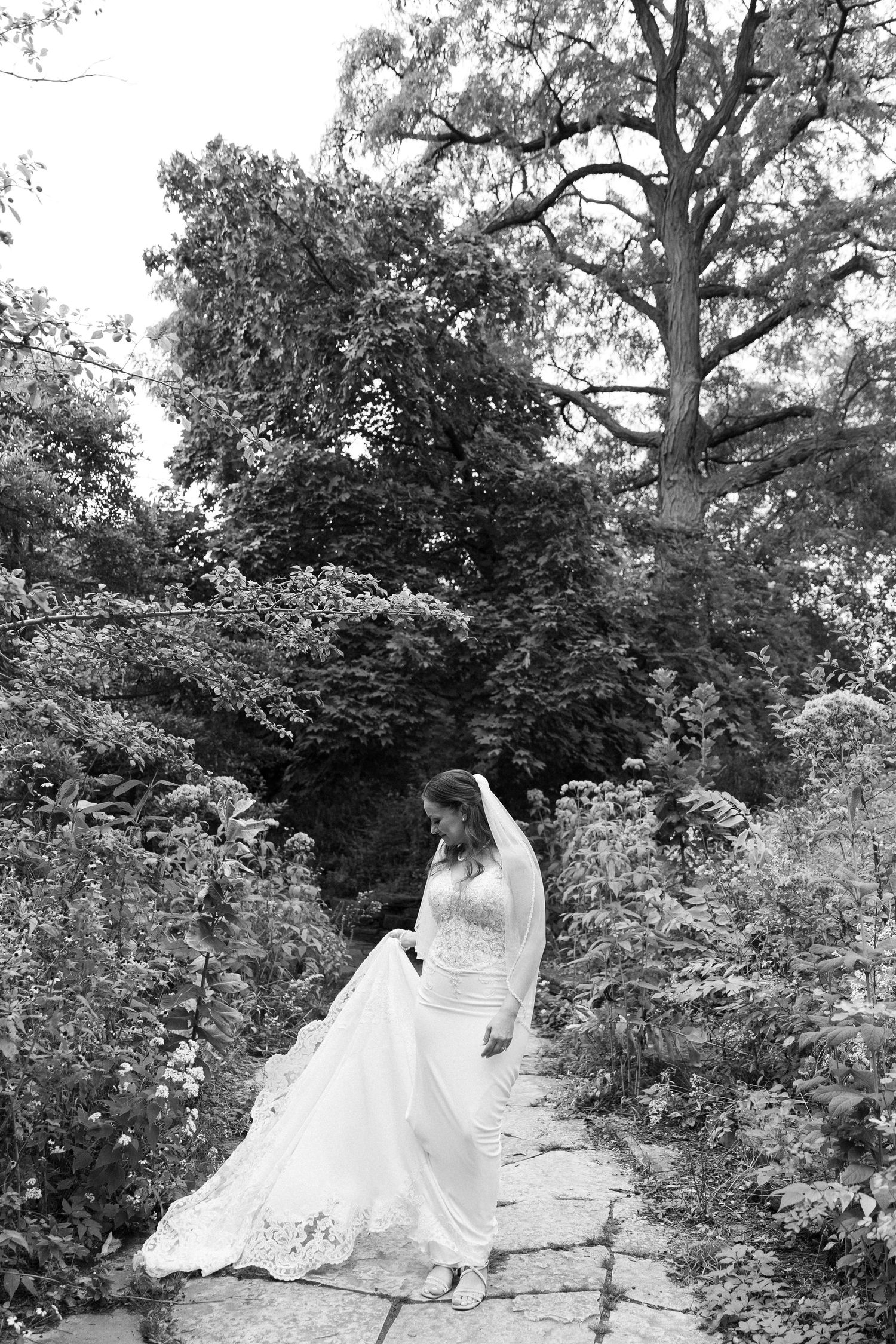 Bride in lace wedding gown with veil walking through lush garden path, black and white photo.